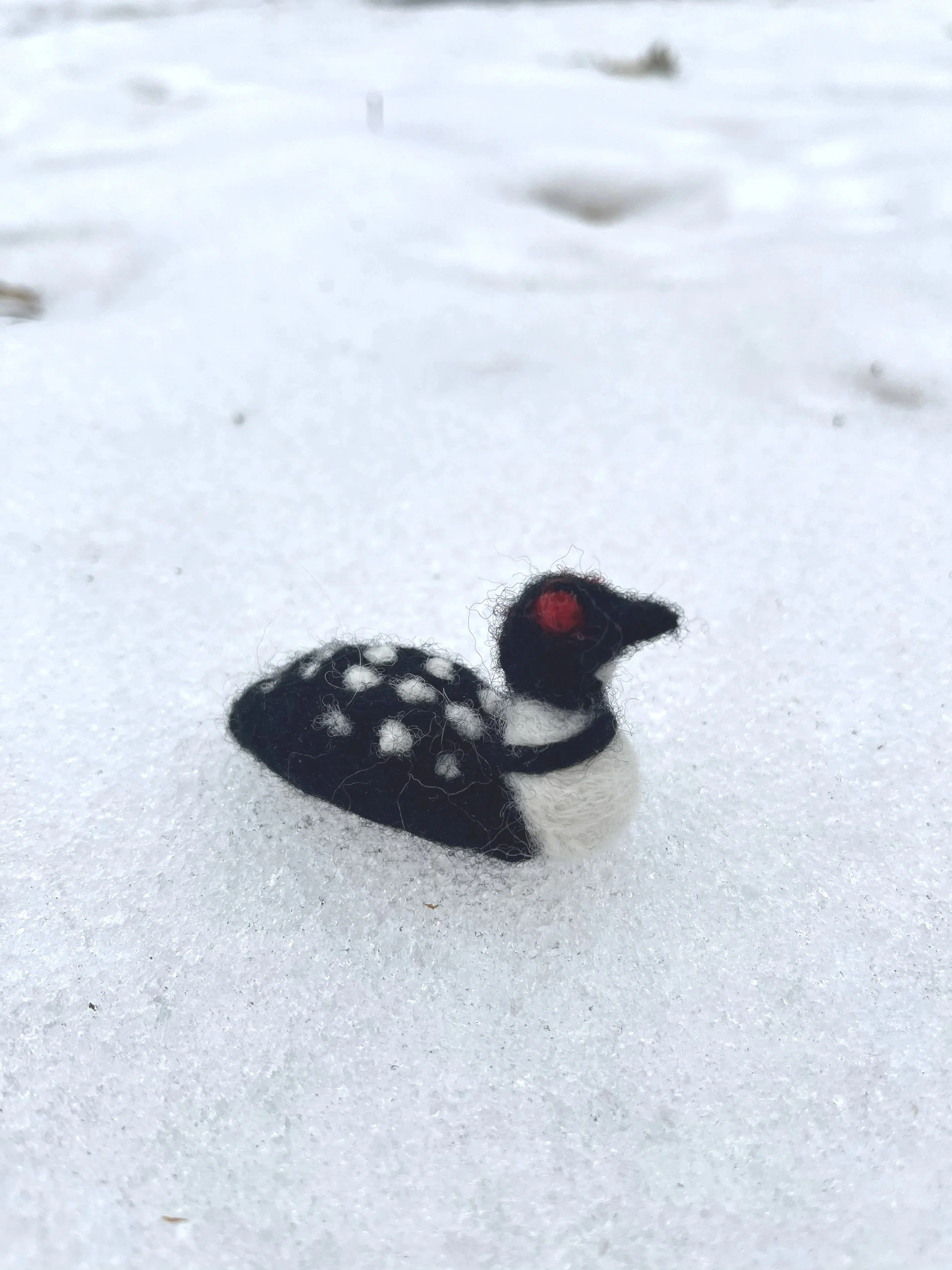 Felted black and white loon figurine with red eye sitting on snow.