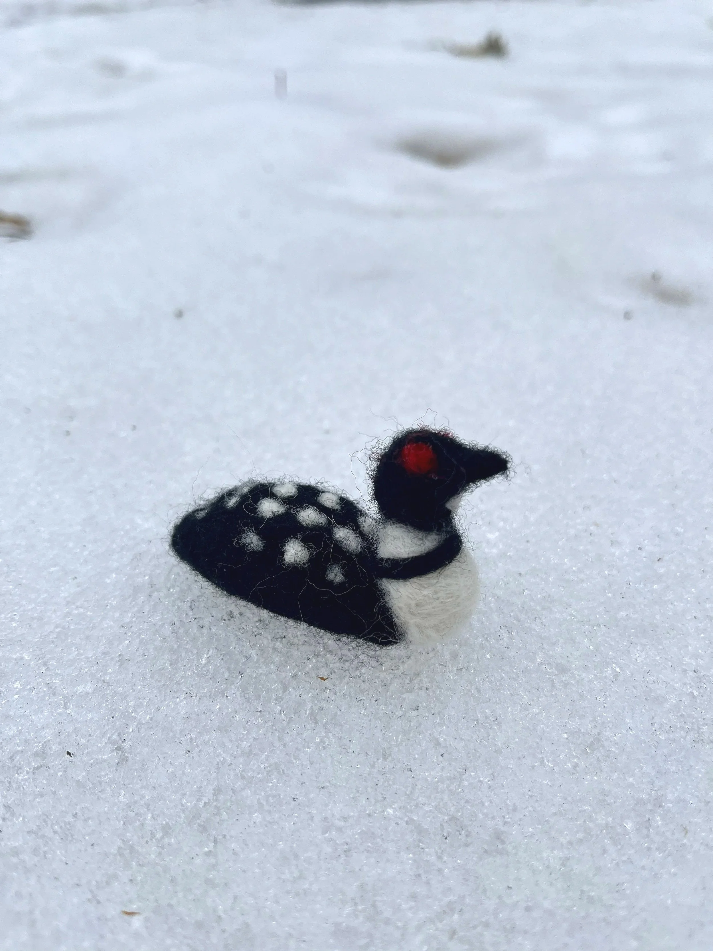 PRE-ORDER: Loon Ornament
