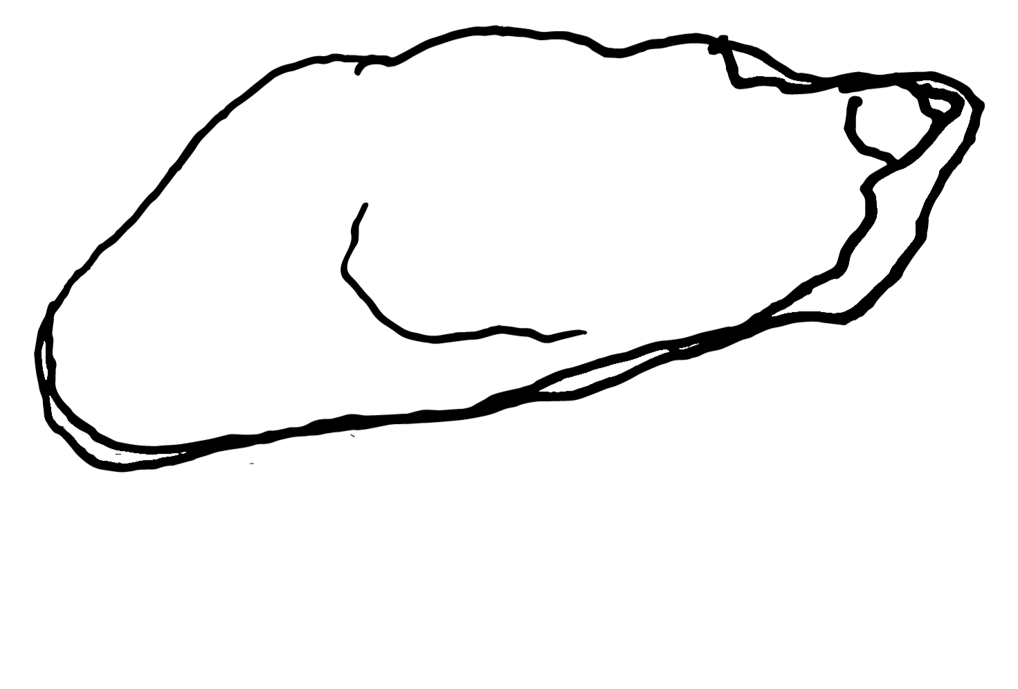 Ceramic Oyster Shells