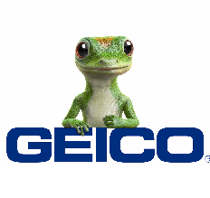 LOGO_GEICO1.png