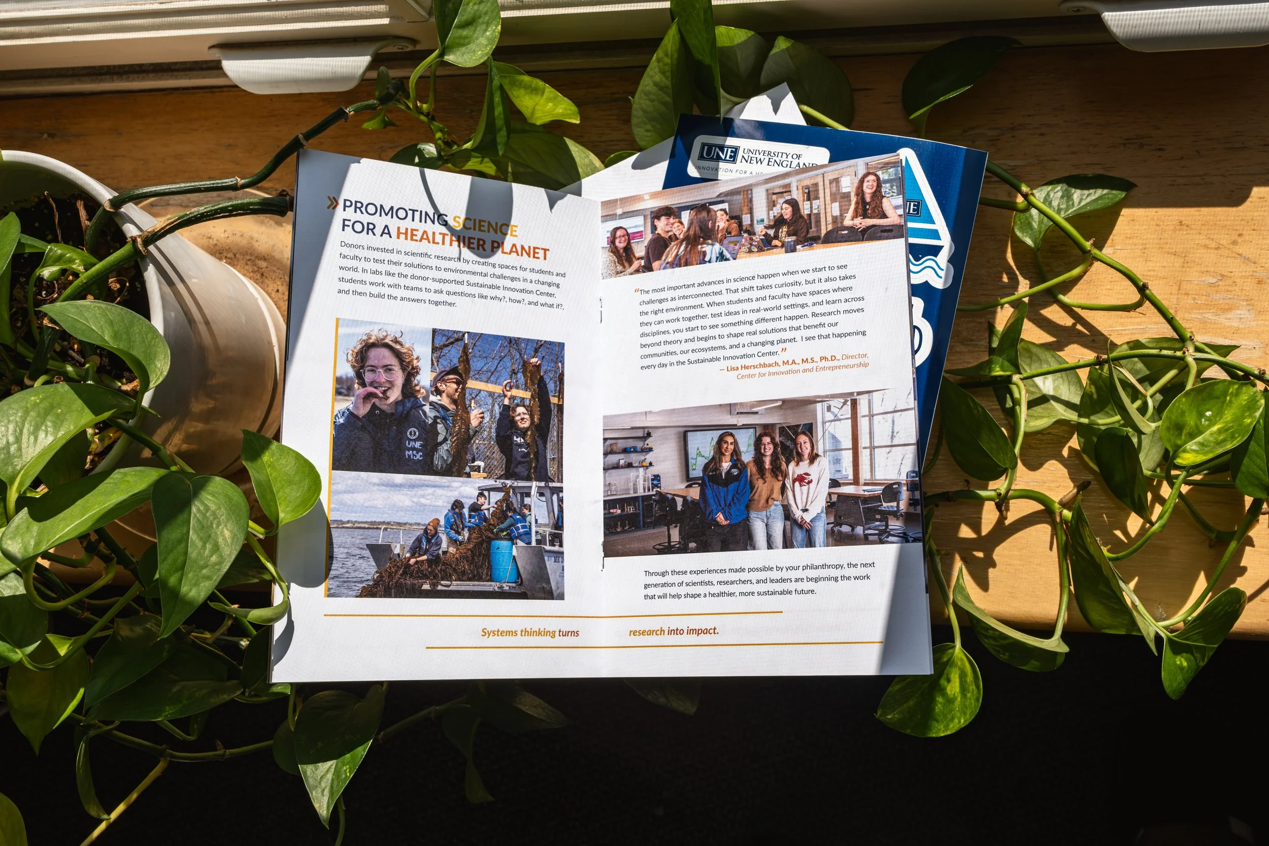 AW_IA-and-cgh-brochure-2113.jpg