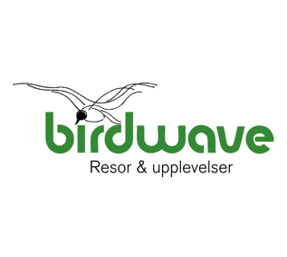 Birdwave