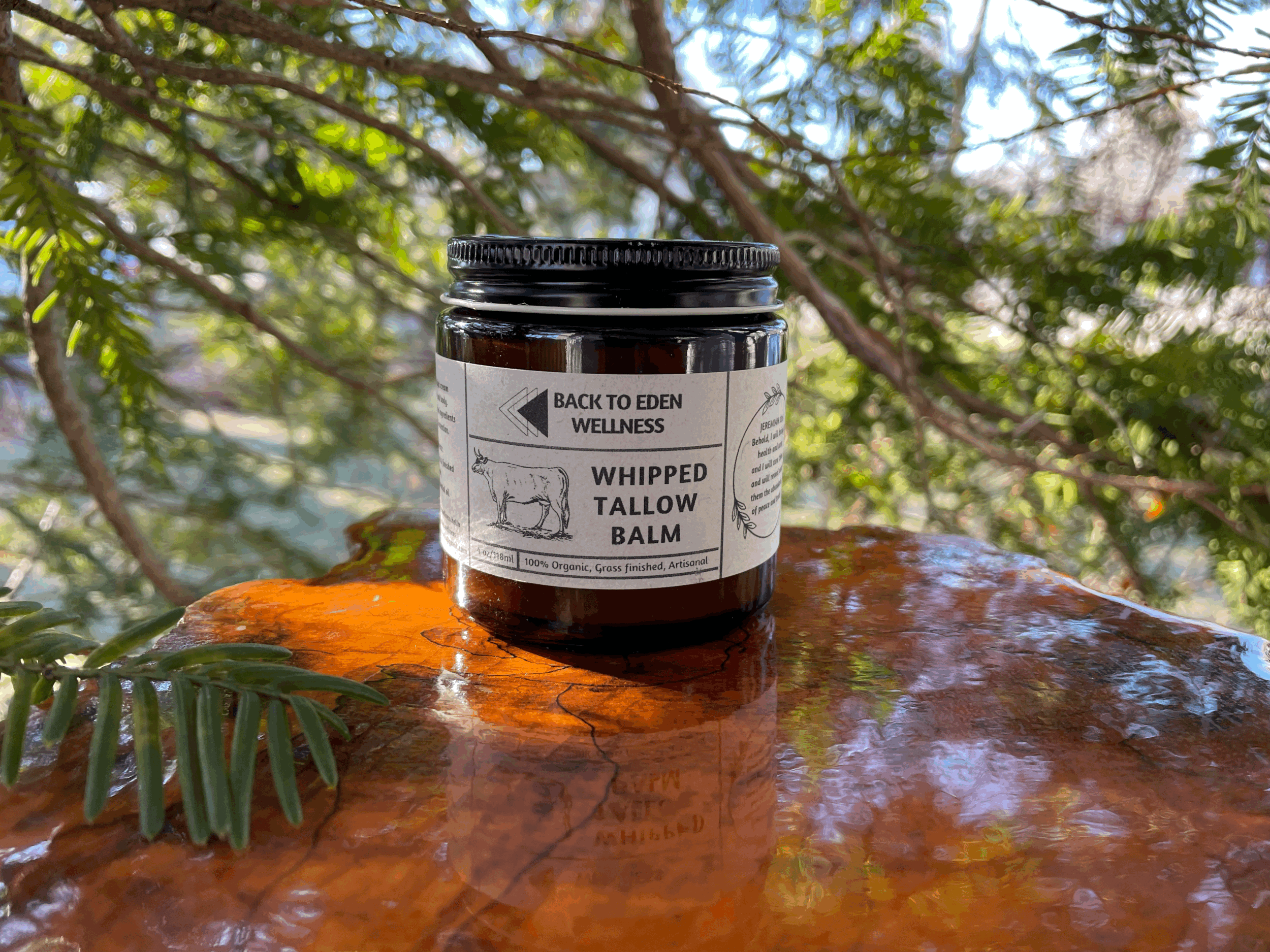 Whipped Tallow Balm