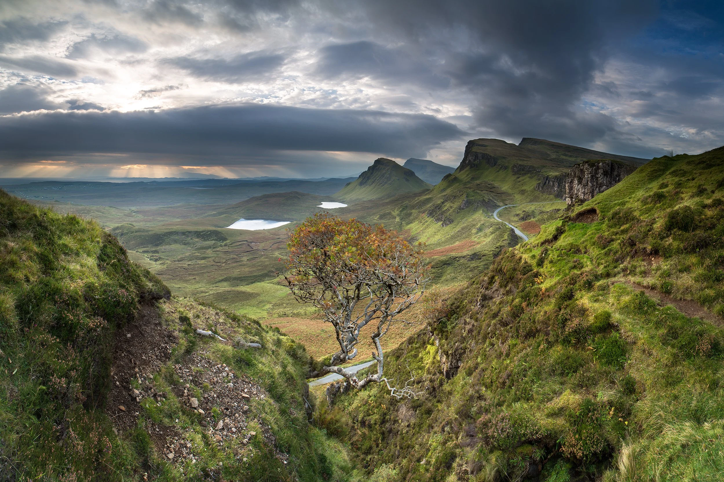 The Guardian Rowan of the Quiraing.jpg