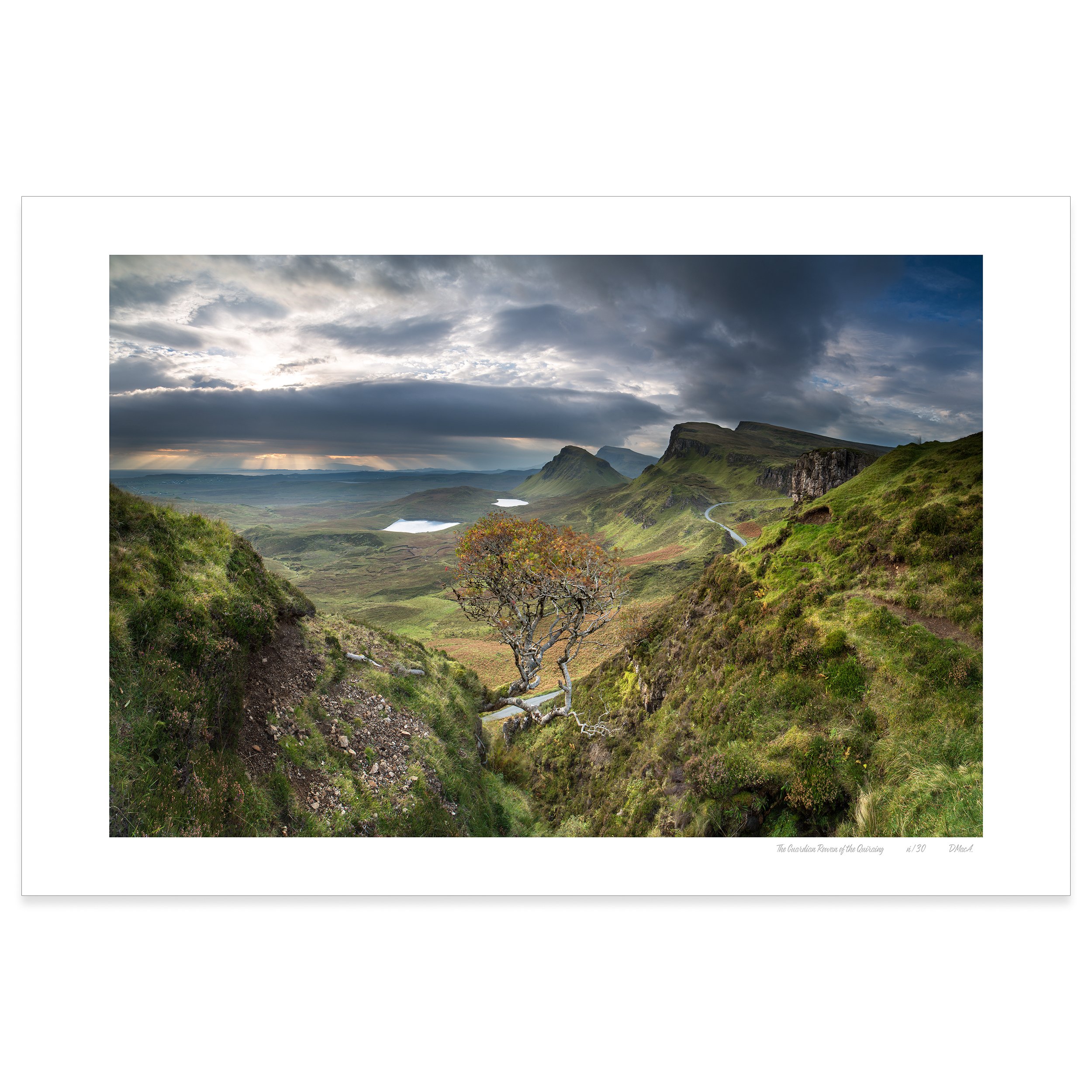 The Guardian Rowan of the Quiraing.jpg