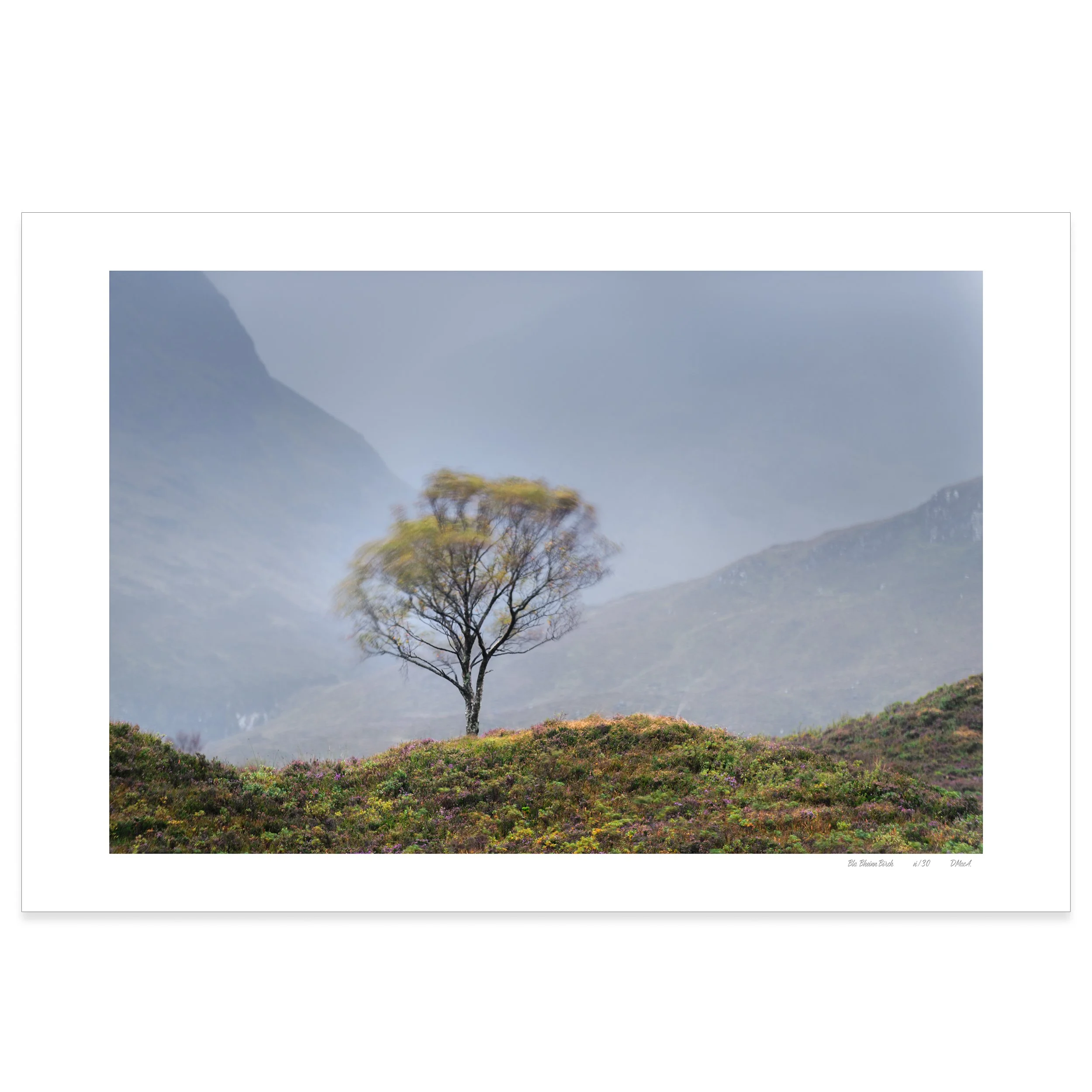 Blà Bheinn Birch