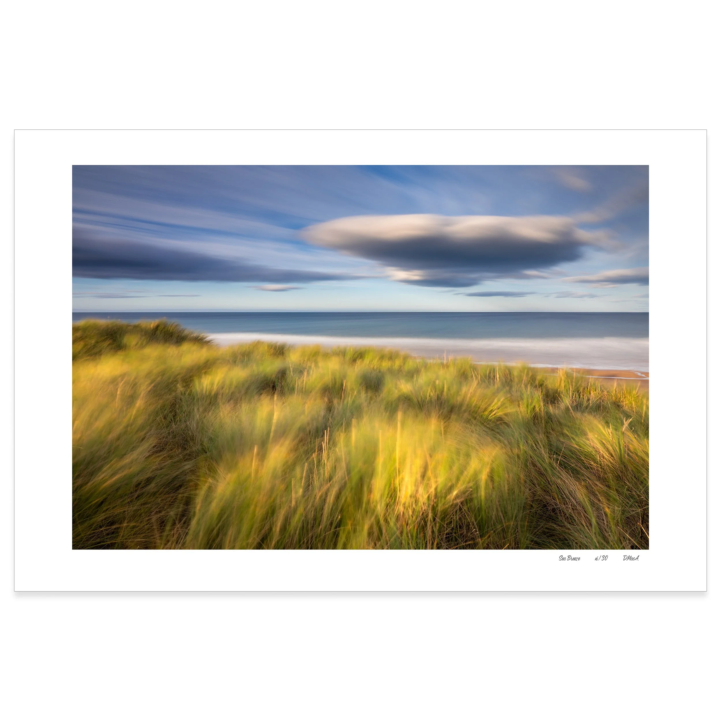 Sea Breeze