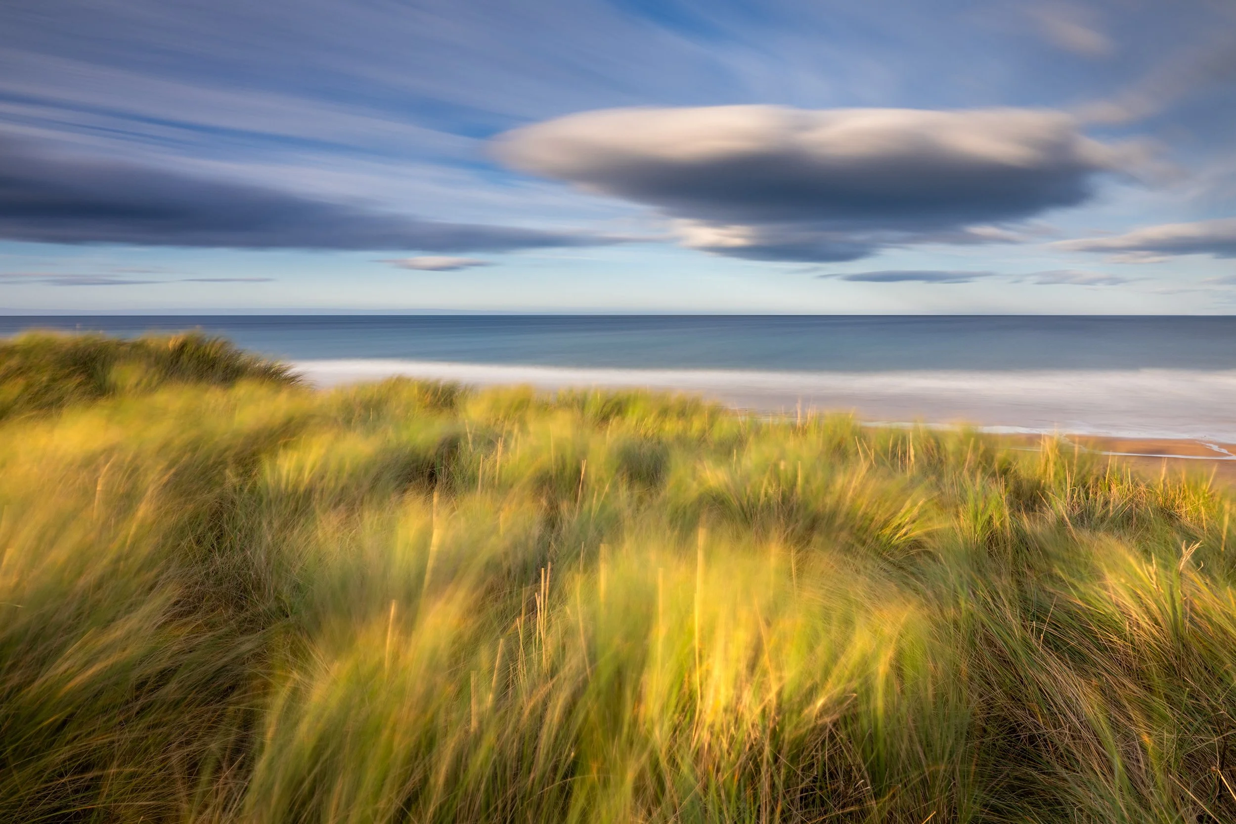 Sea Breeze.jpg