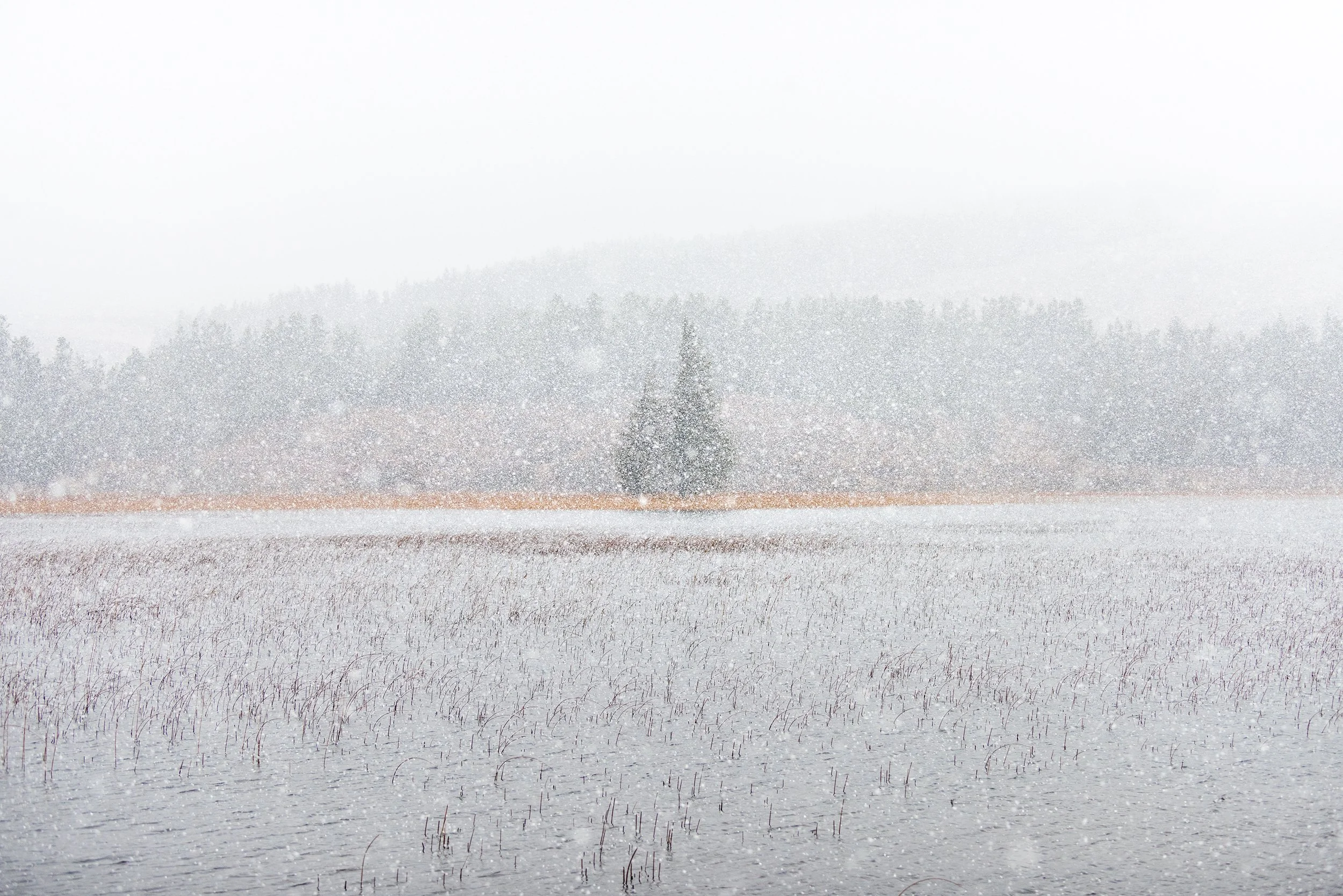 Snow on the Loch.jpg