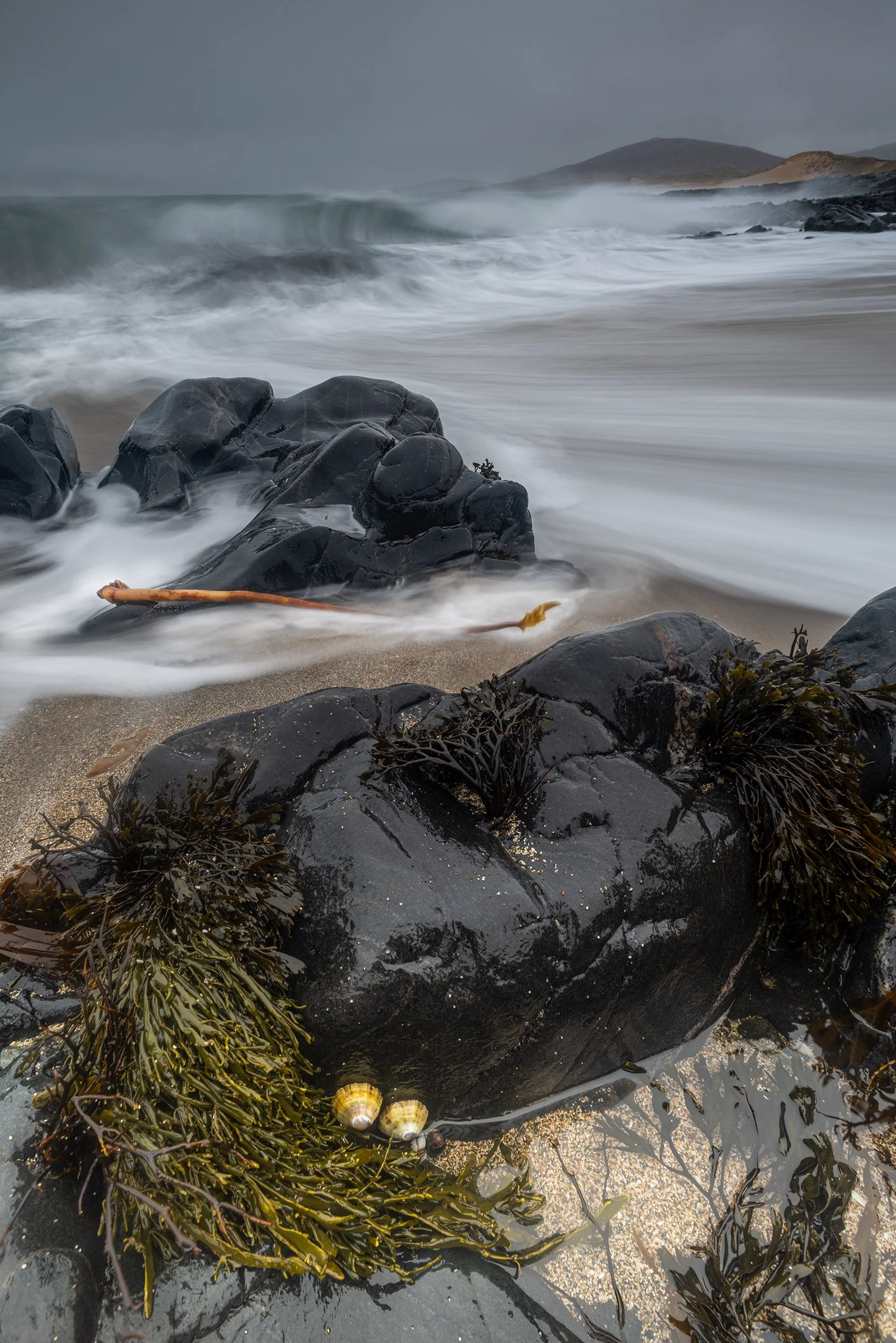 Friends in a Storm.jpg