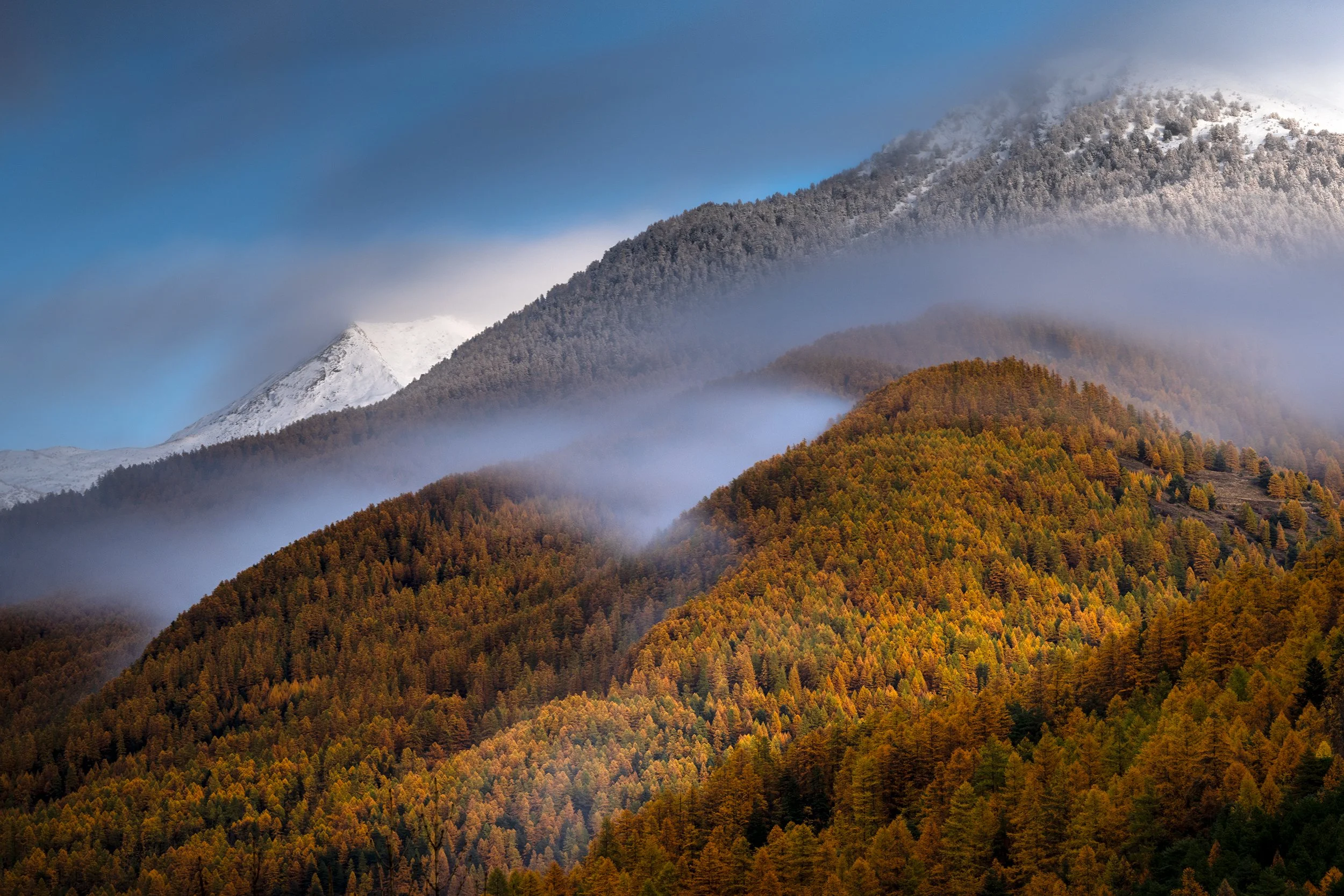 Changing Seasons.jpg