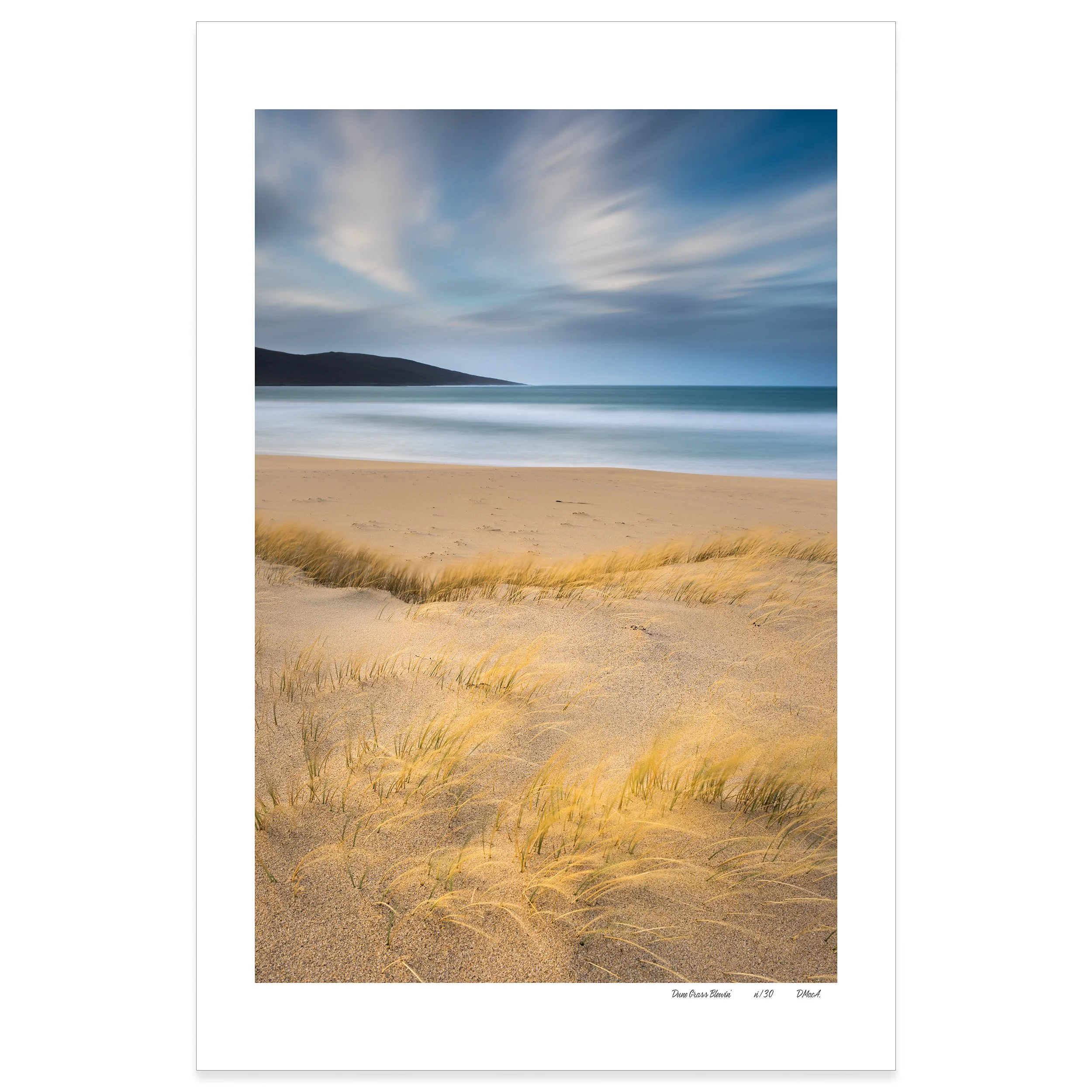 Dune Grass Blowin'