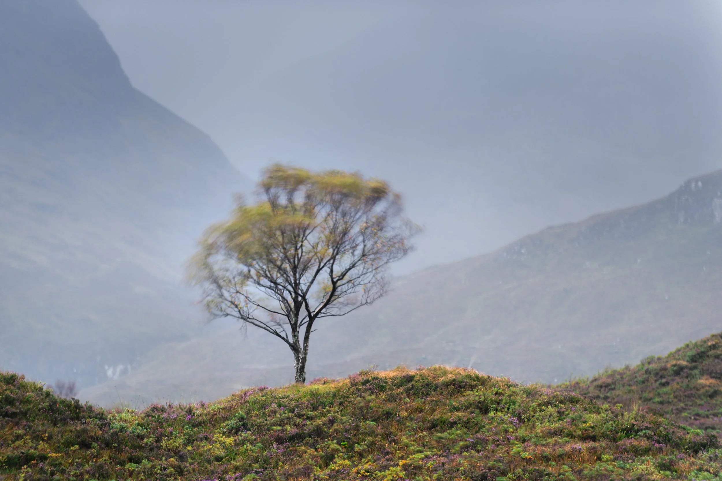 Blà Bheinn Birch.jpg