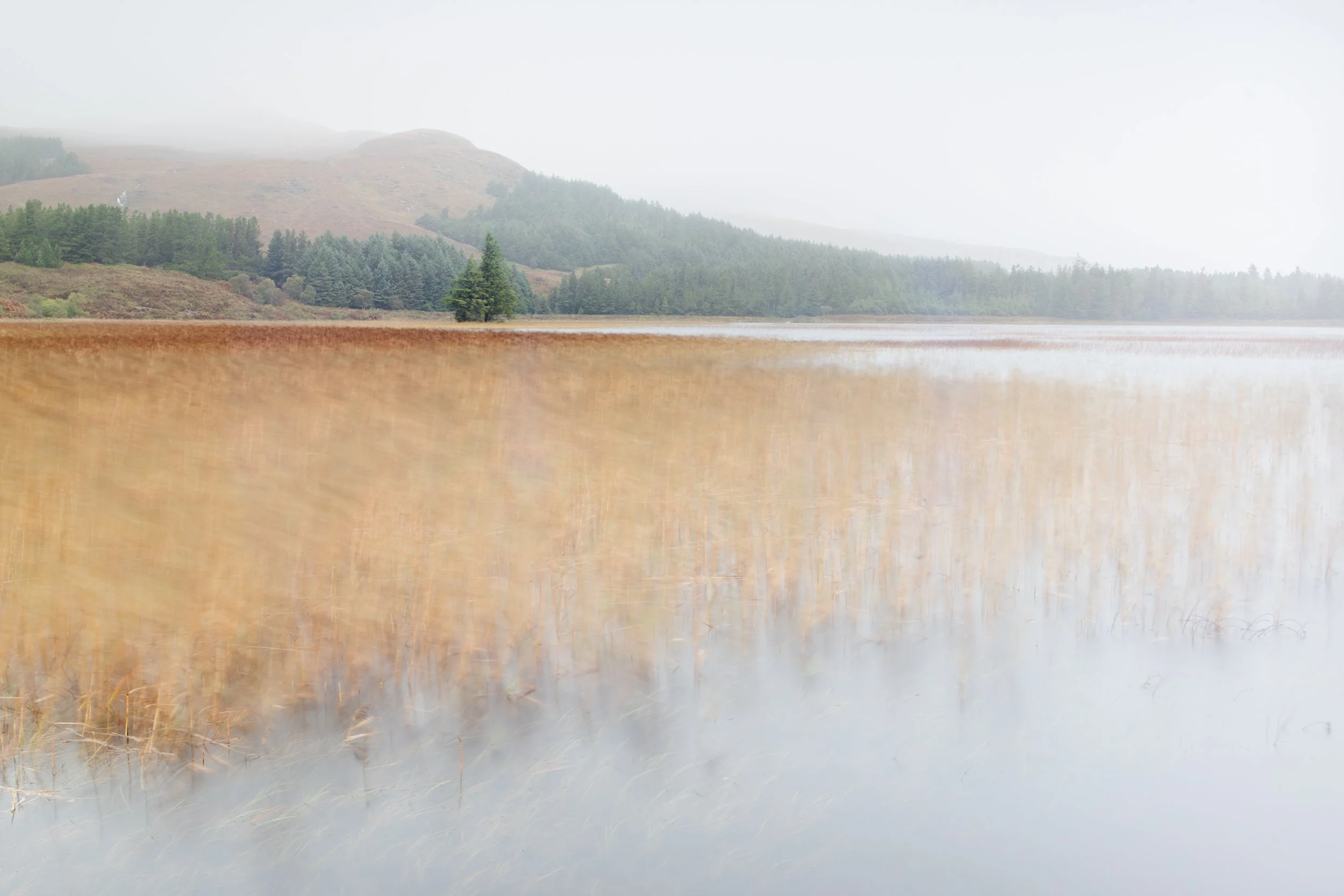 Breeze o' the Loch.jpg
