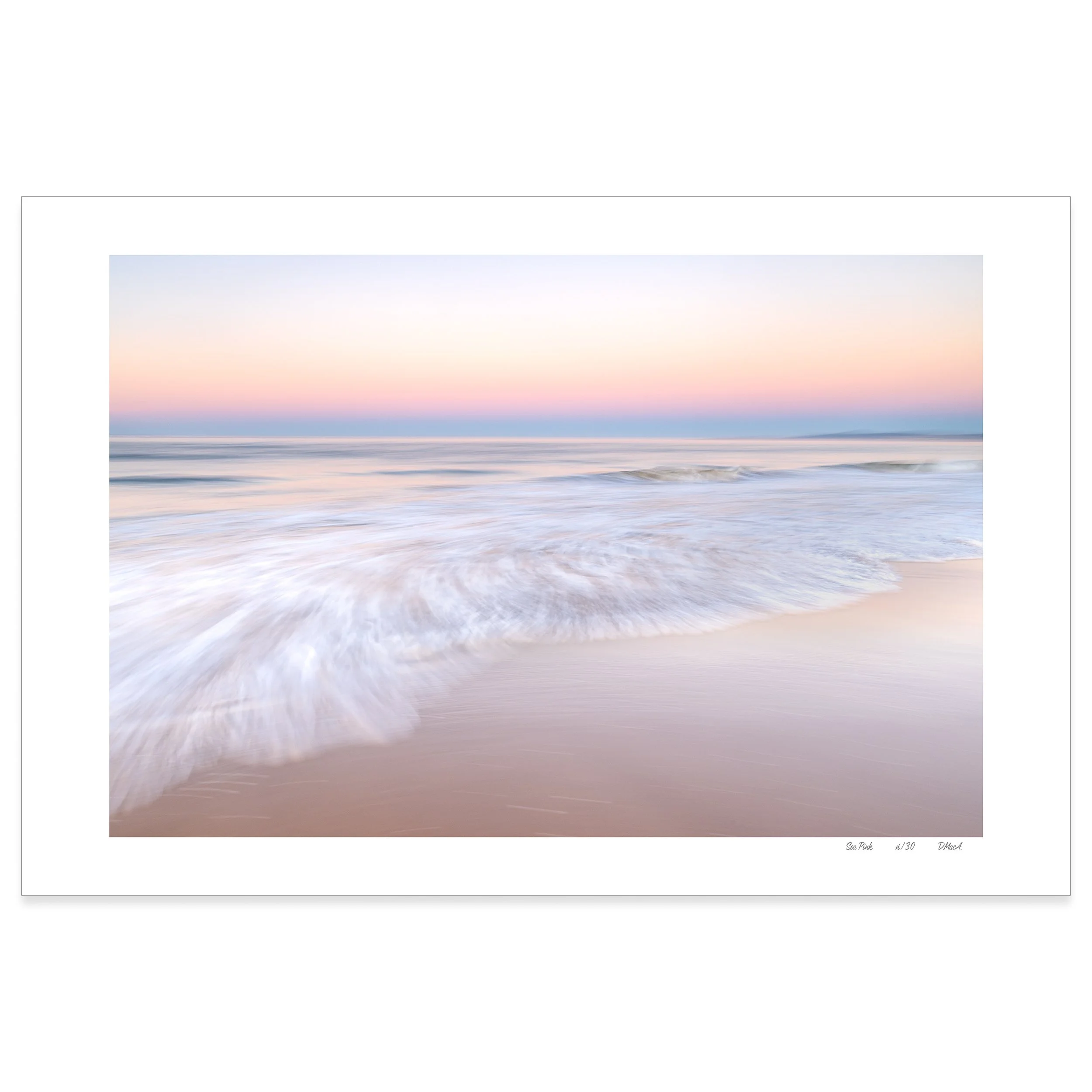 Sea Pink