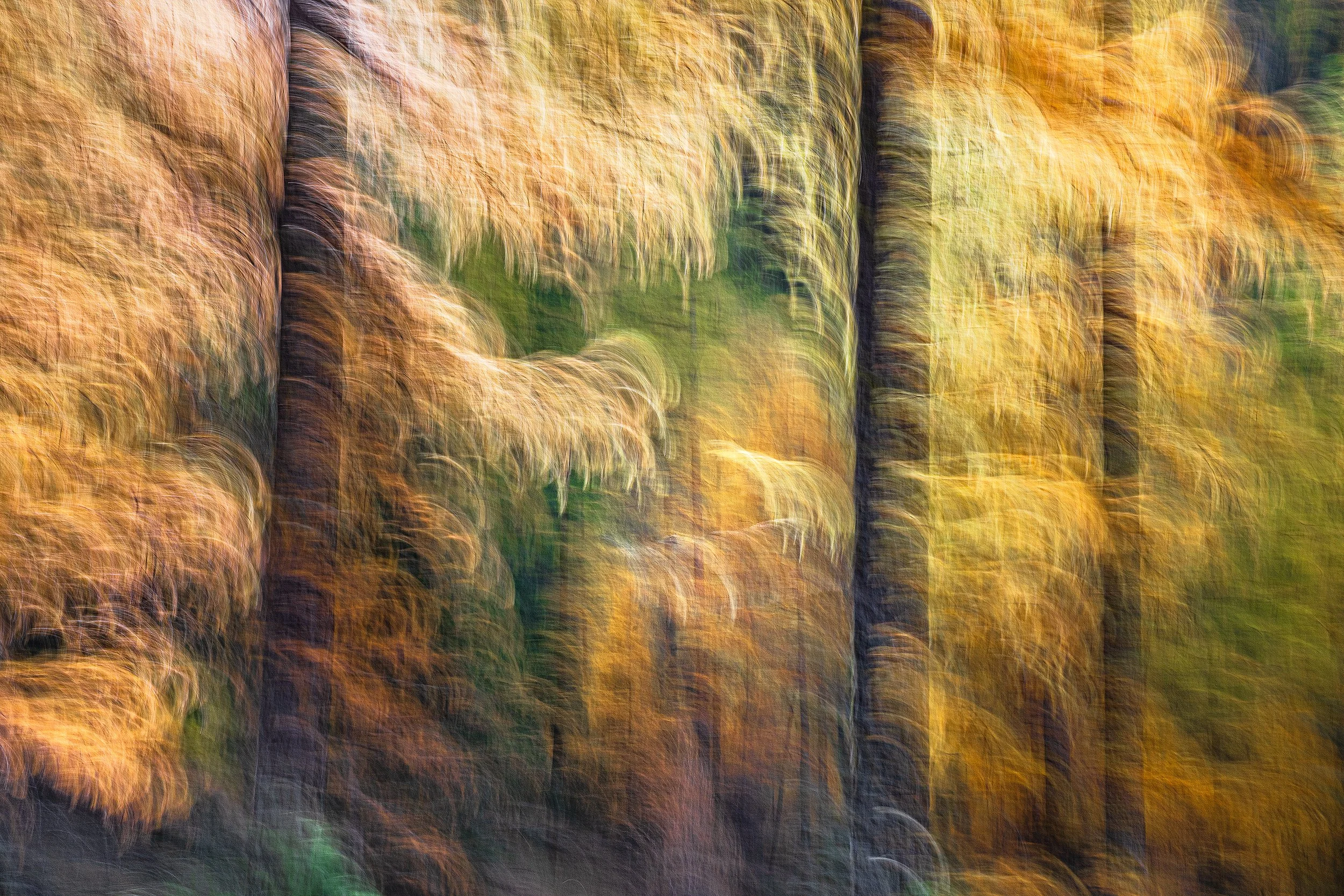 Le Feu de l'Automne.jpg