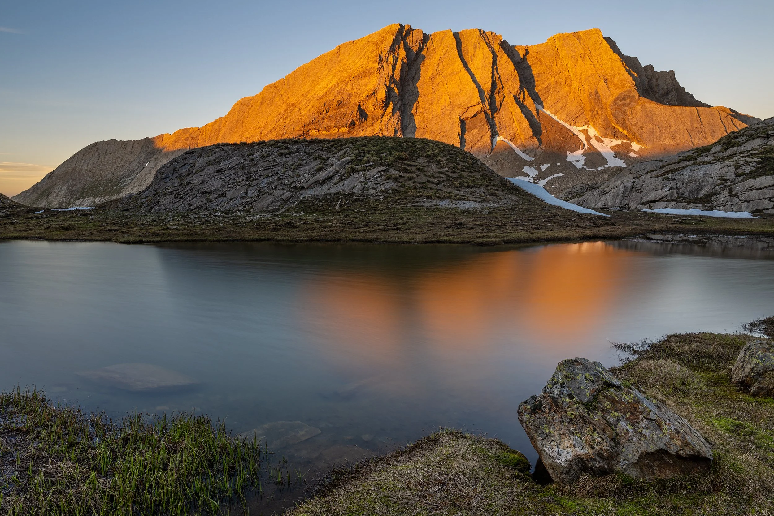 Taillante Glow.jpg