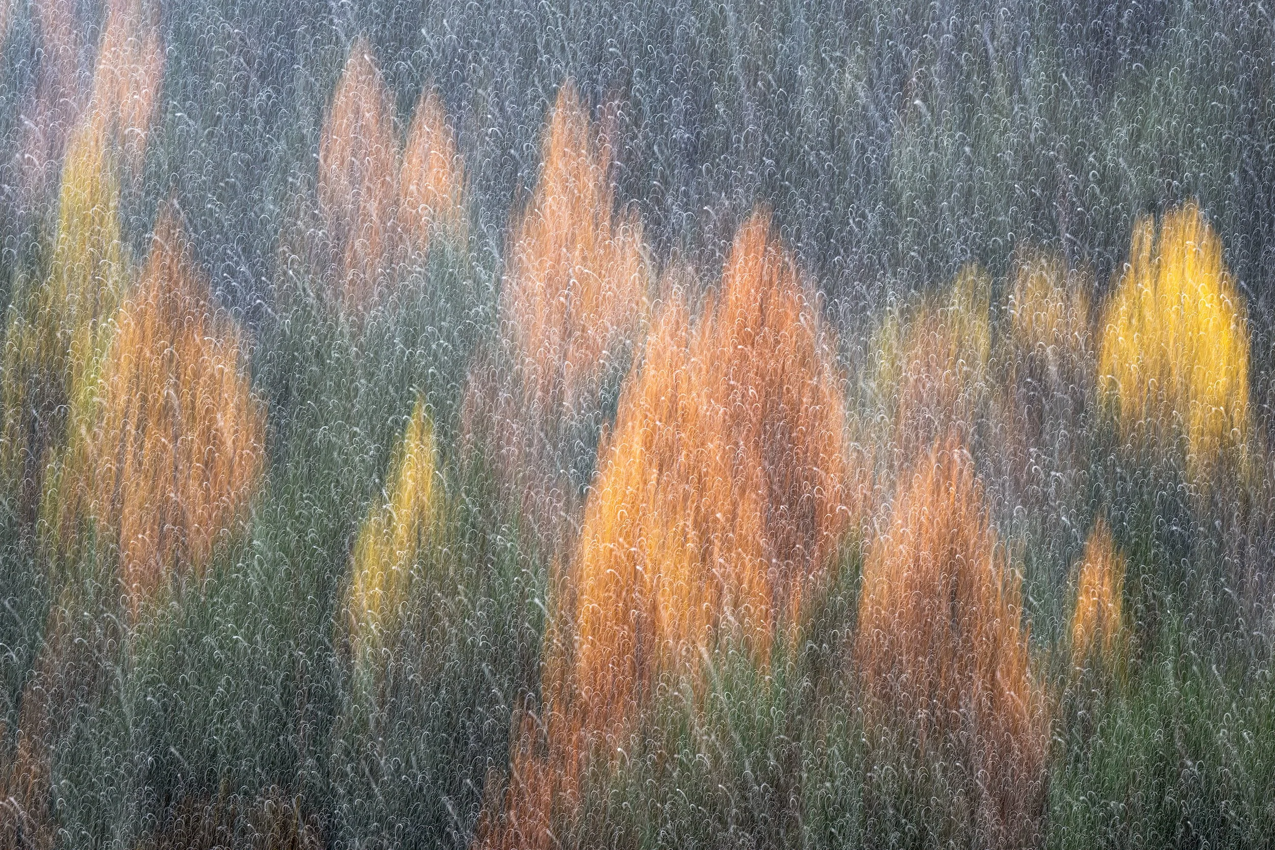 Snowflakes in The Autumn.jpg