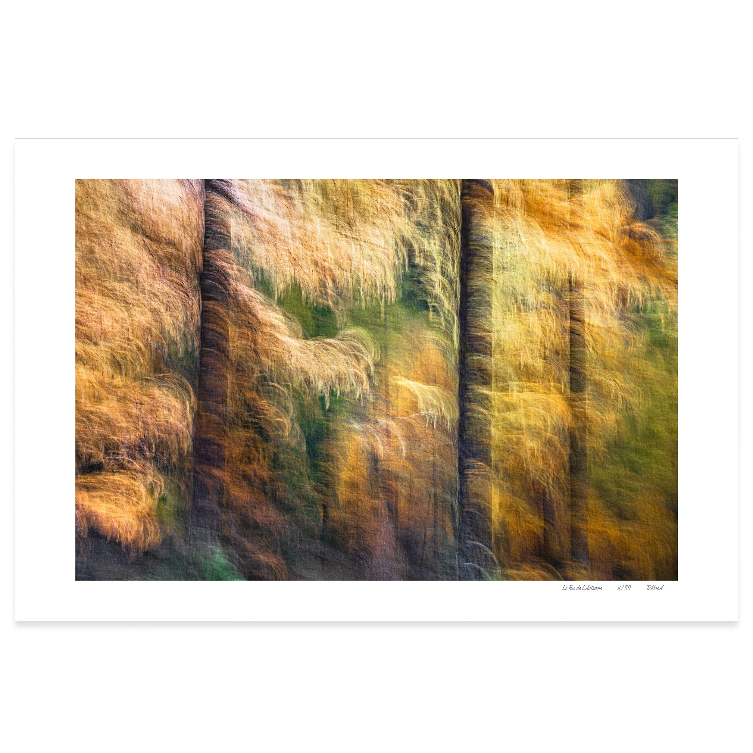 Le Feu de l'Automne