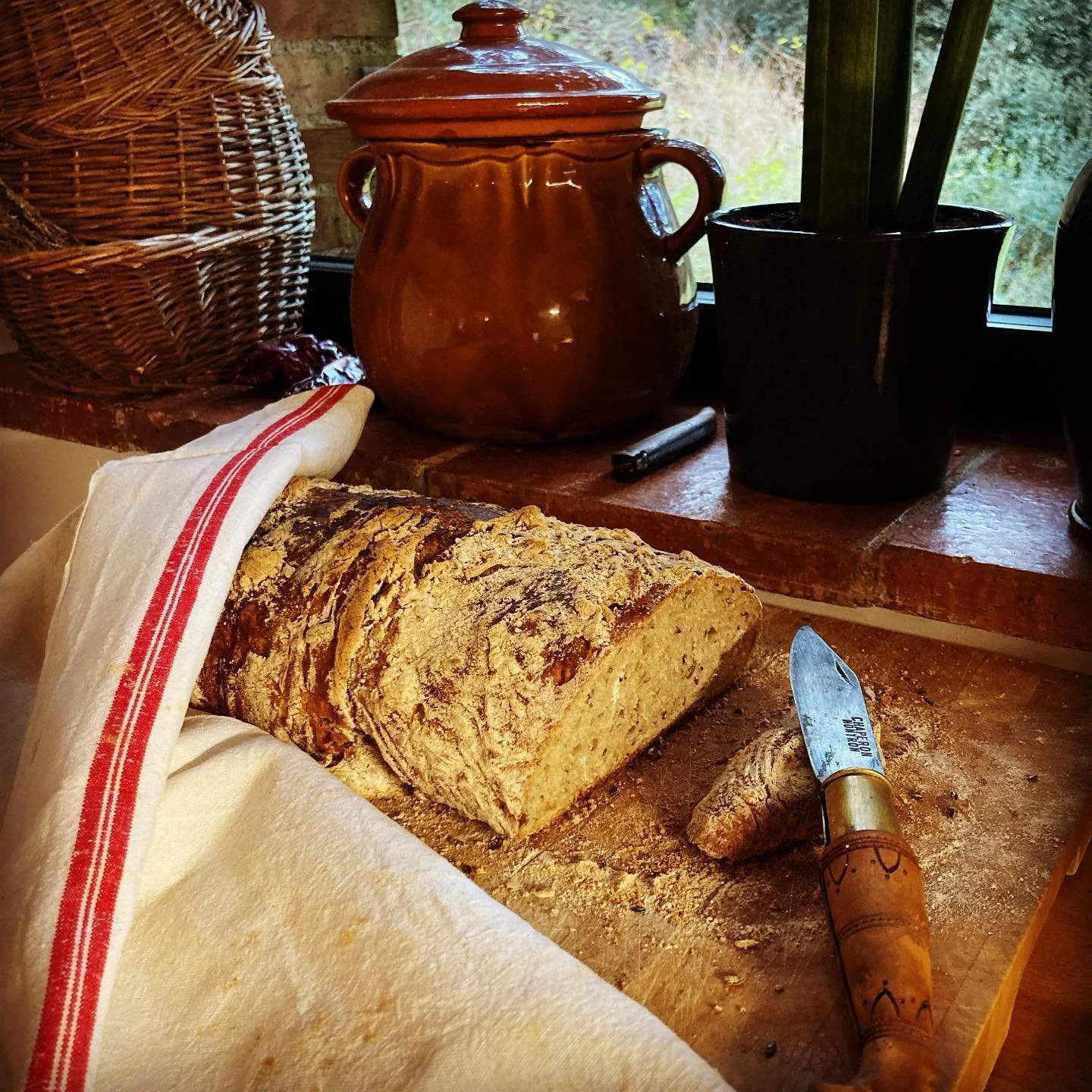 pyrennes orientale5.jpg