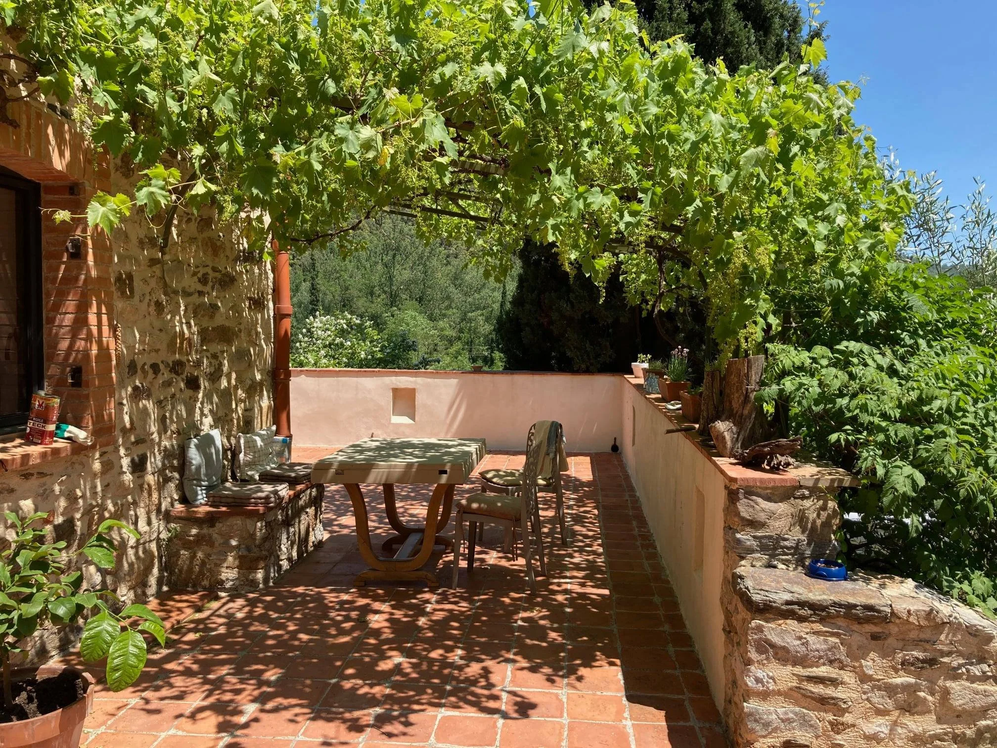 pyrennes orientale4.jpg