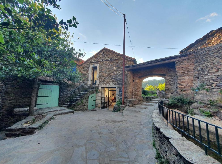 collet de deze 1.png