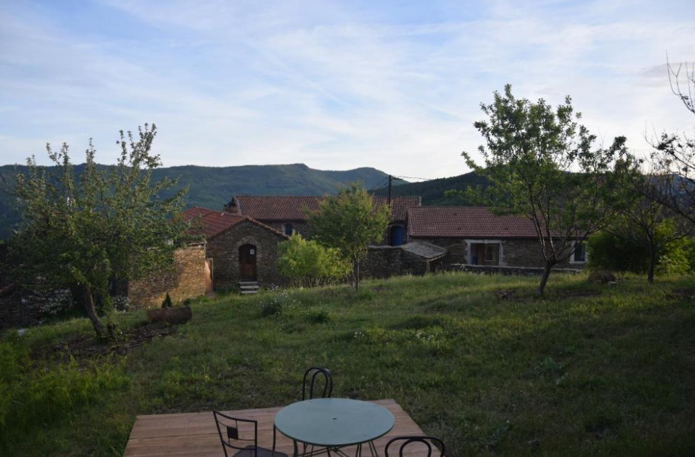 collet de deze 5.png