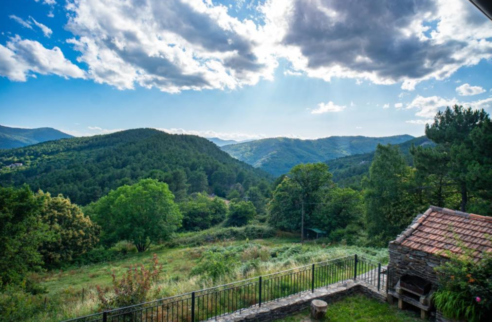 collet de deze 2.png