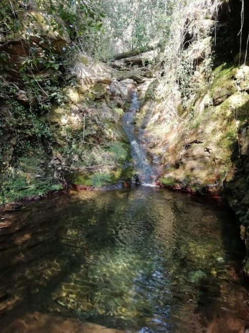 collet de deze 8.png