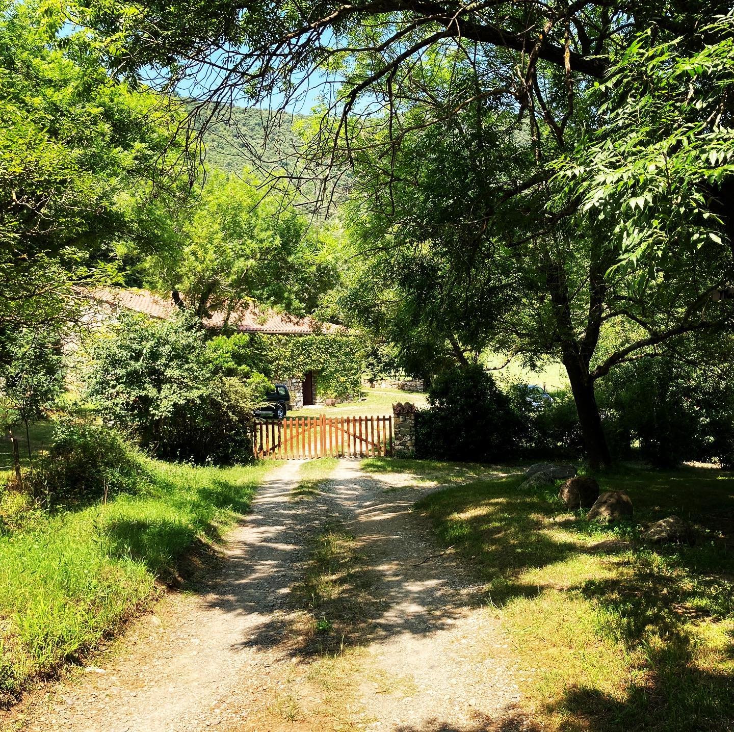 pyrennes orientale2.jpg