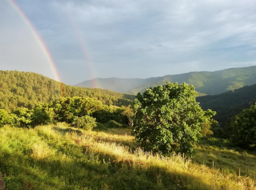 collet de deze 7.png