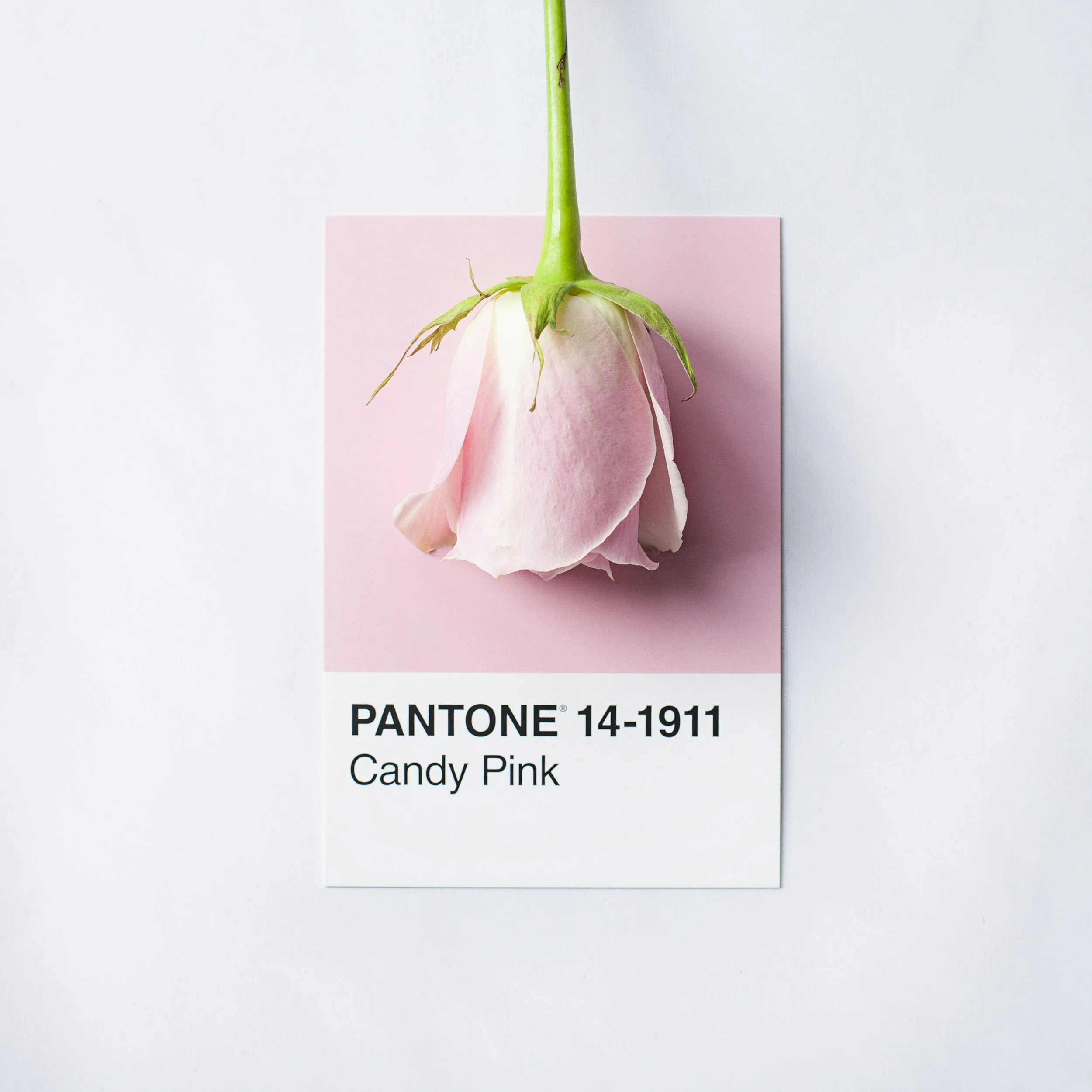 About Sterry Website Design