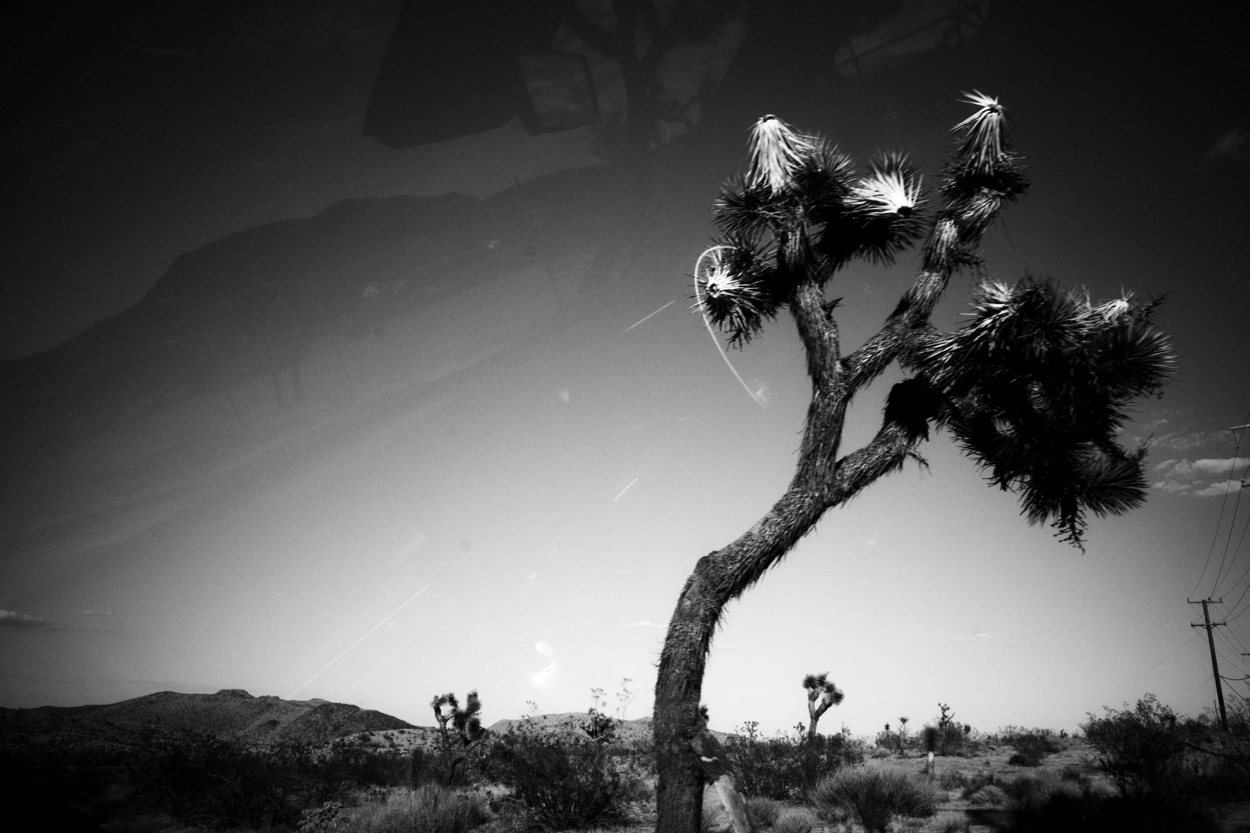 EDITSelects - 002.jpg