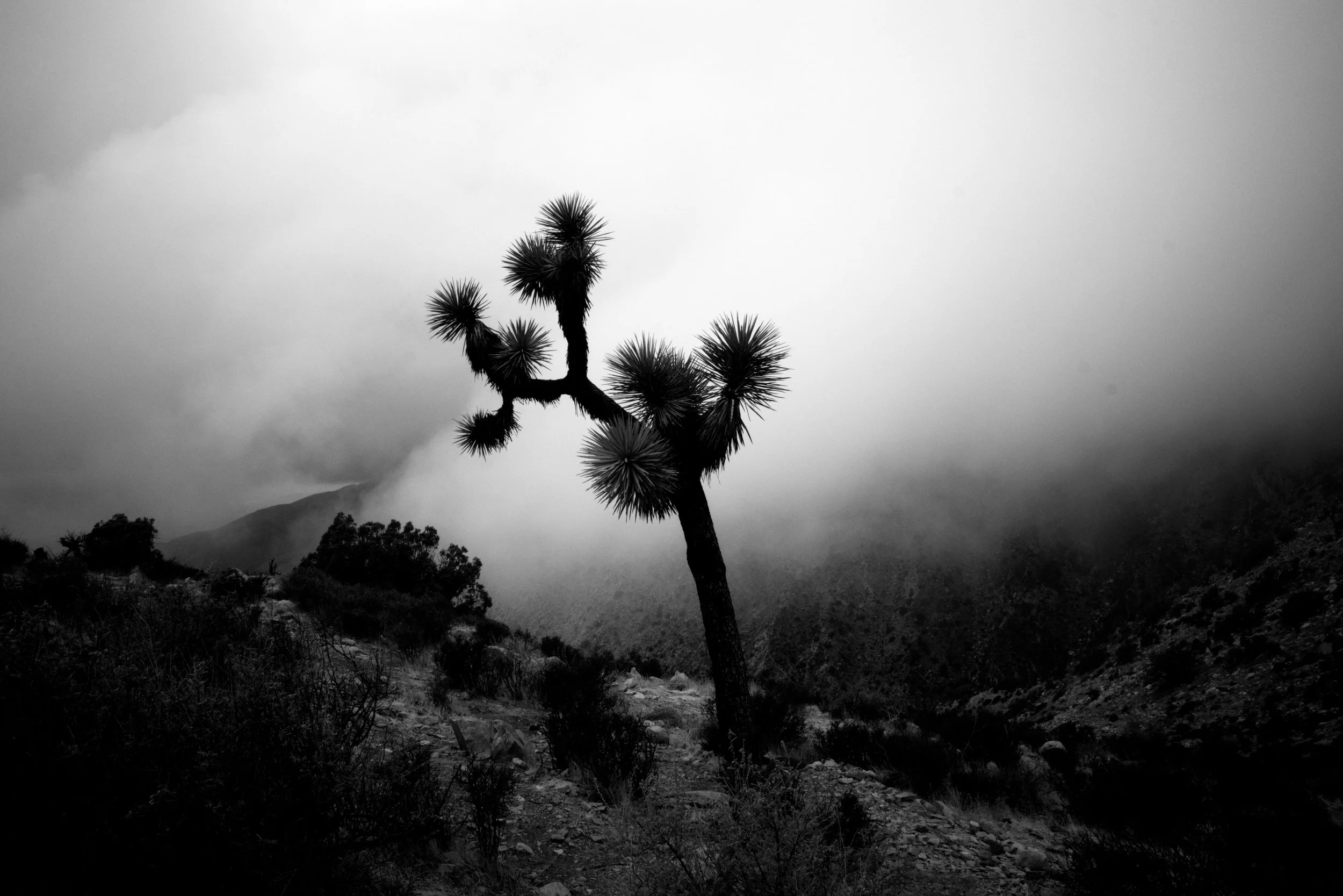 EDITSelects - 003.jpg