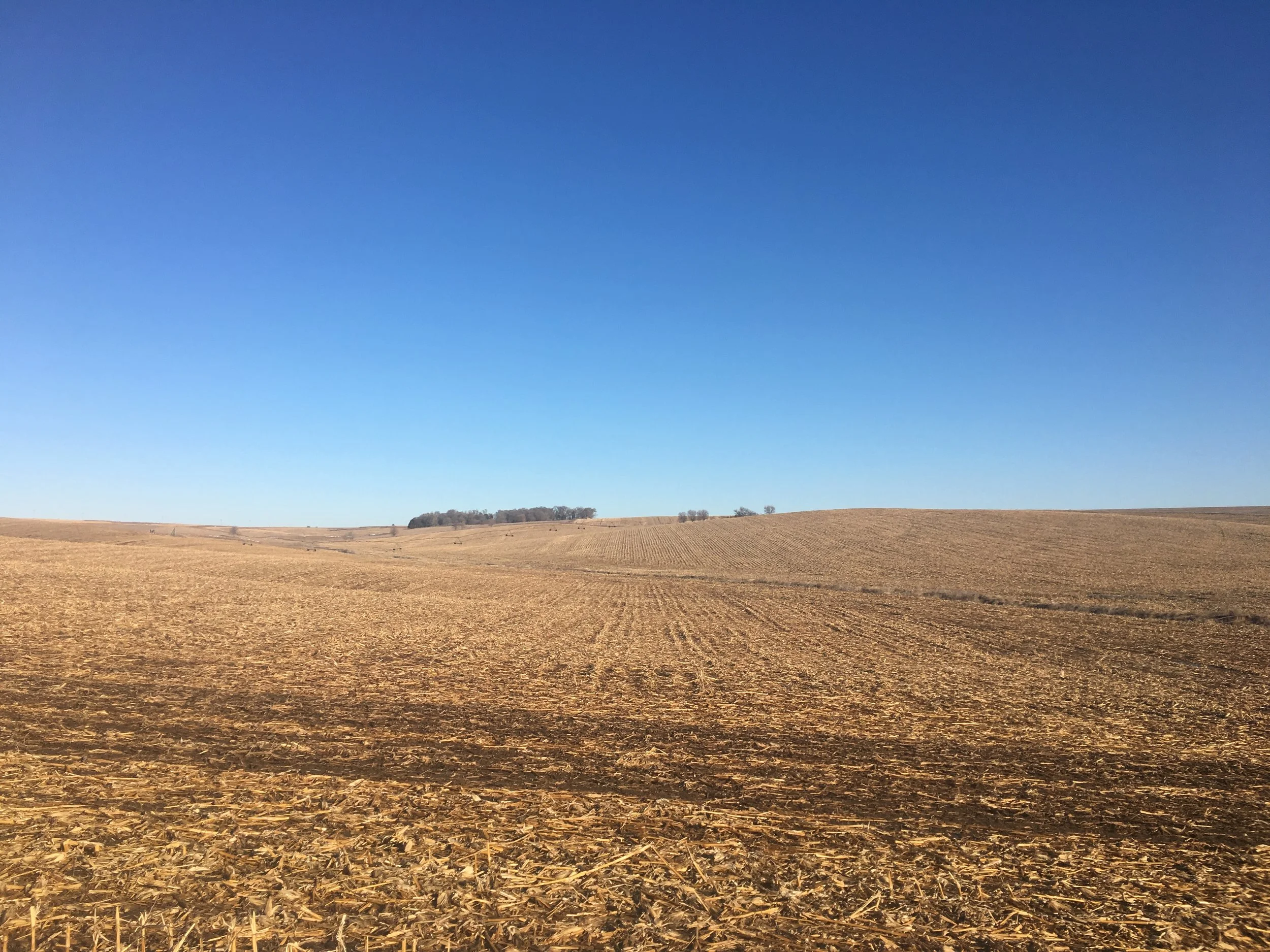 Clatanoff East: Irrigated Stanton County Farm Land