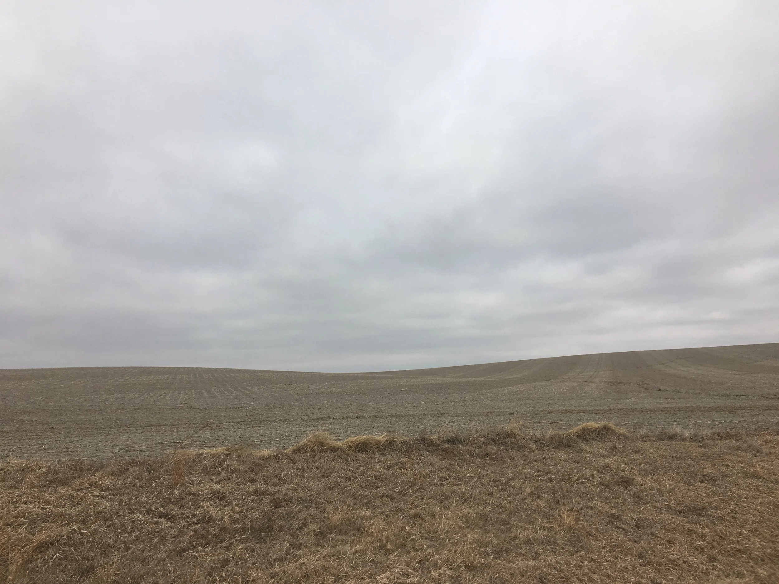 North 14th Street: Dryland Lancaster County Farm