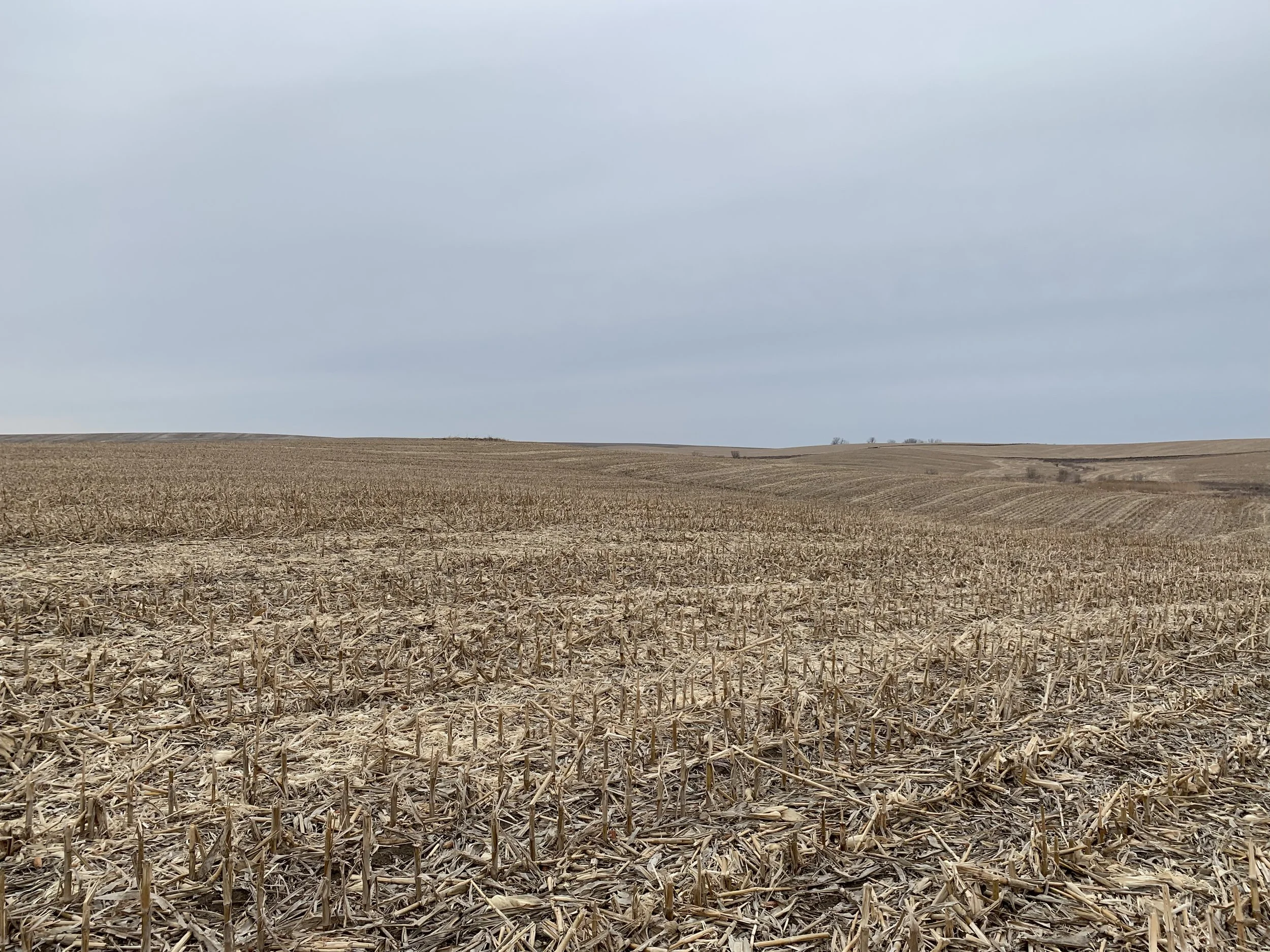 AH-HA Ranch LAND AUCTION: 160 Acre Colfax Co. Dryland Farm