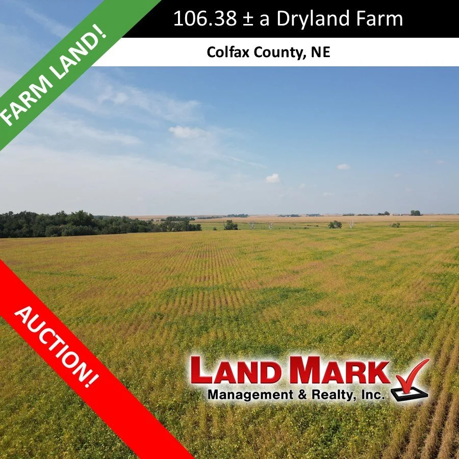 AUCTION  - 106.38 +/- Acre Colfax Co. Farm