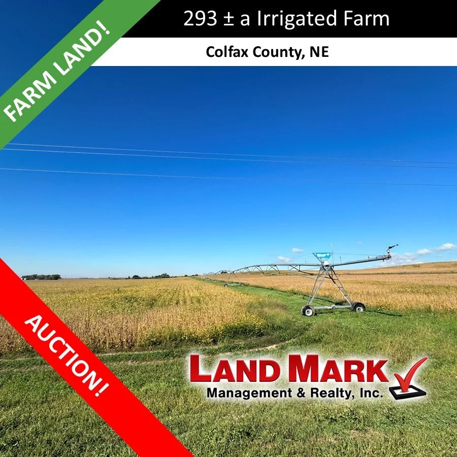AUCTION  - 293 +/- Acre Colfax Co. Farm