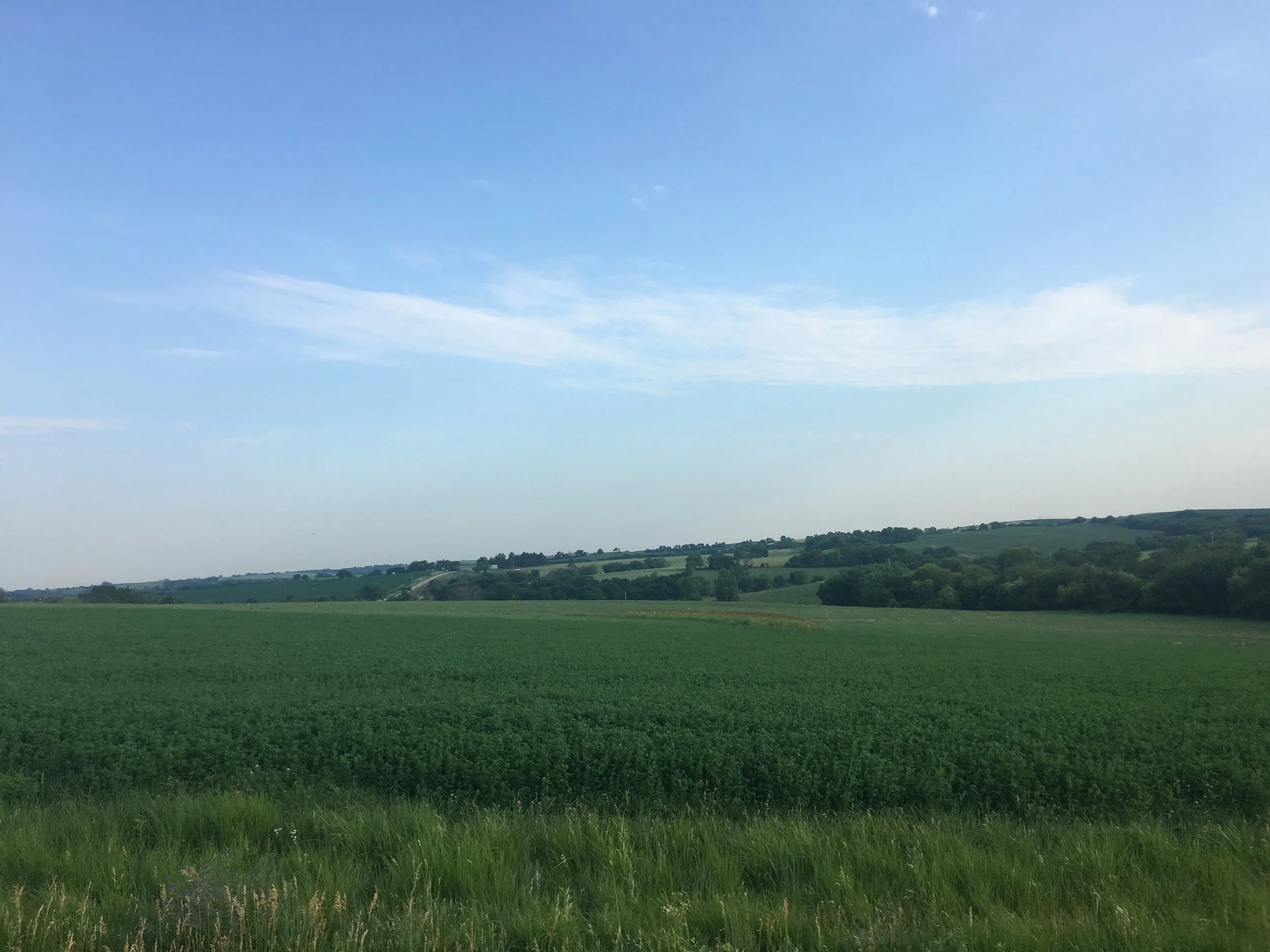 29.59 Acres Saunders County Farm &amp; Rec