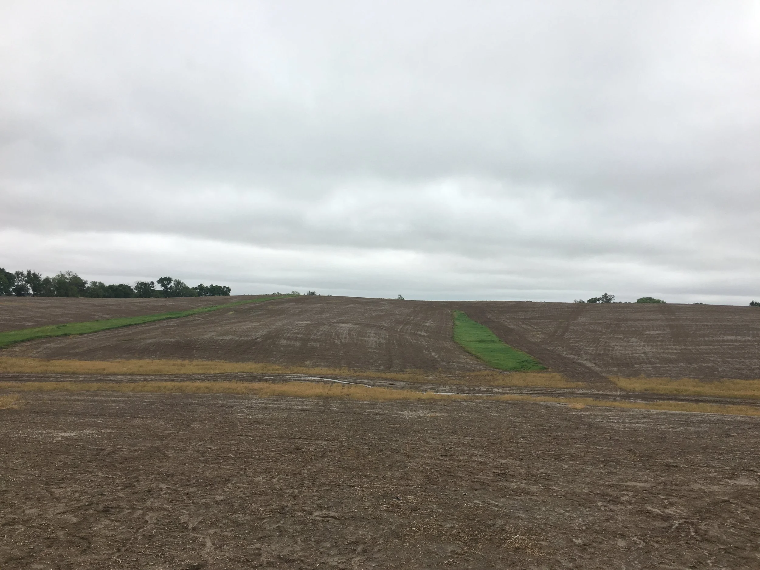 Saunders County Farm & Play