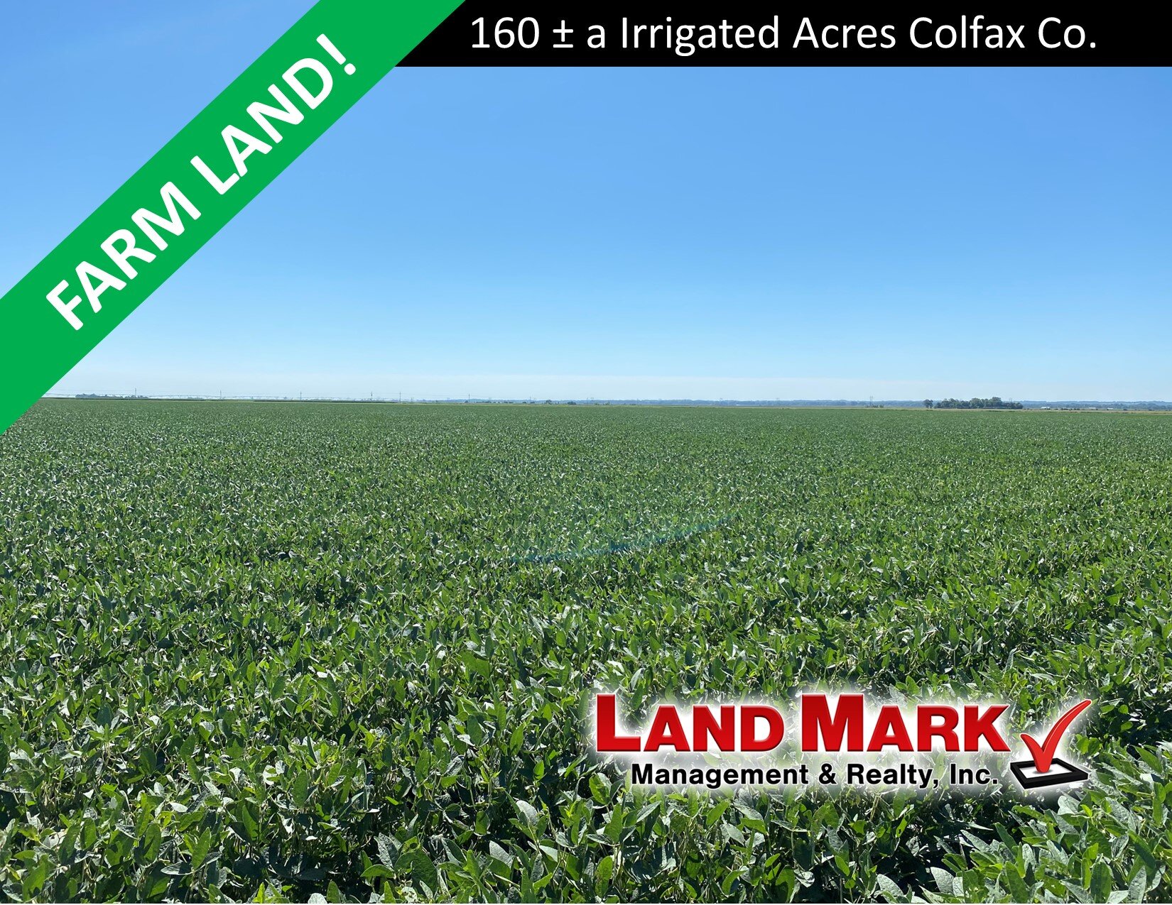 New Listing Banner Hamilton 160 a.jpg