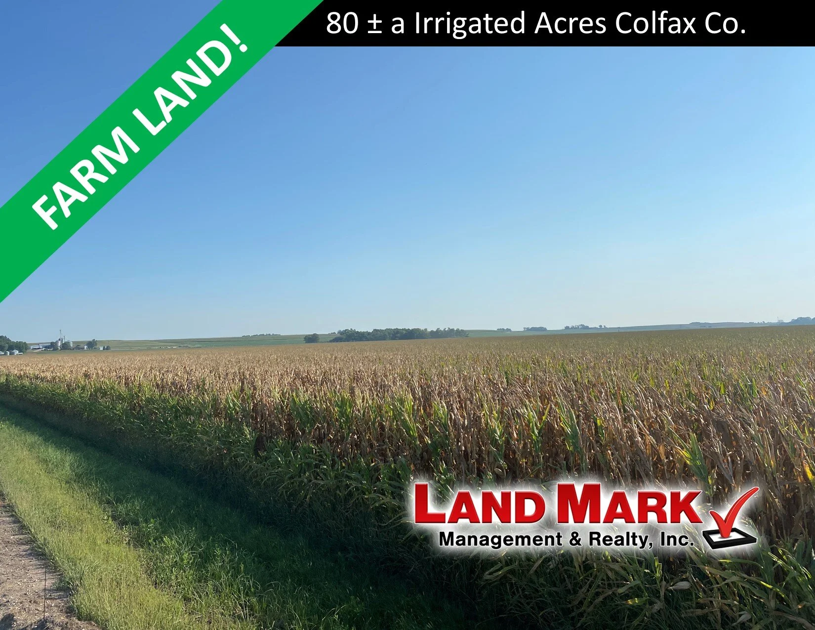 New Listing Banner Hamilton 80 a.jpg