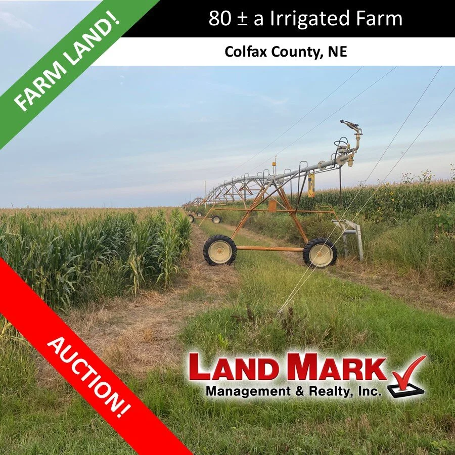 AUCTION: TRACT 2 - 80 +/- Acre Colfax Co. Farm