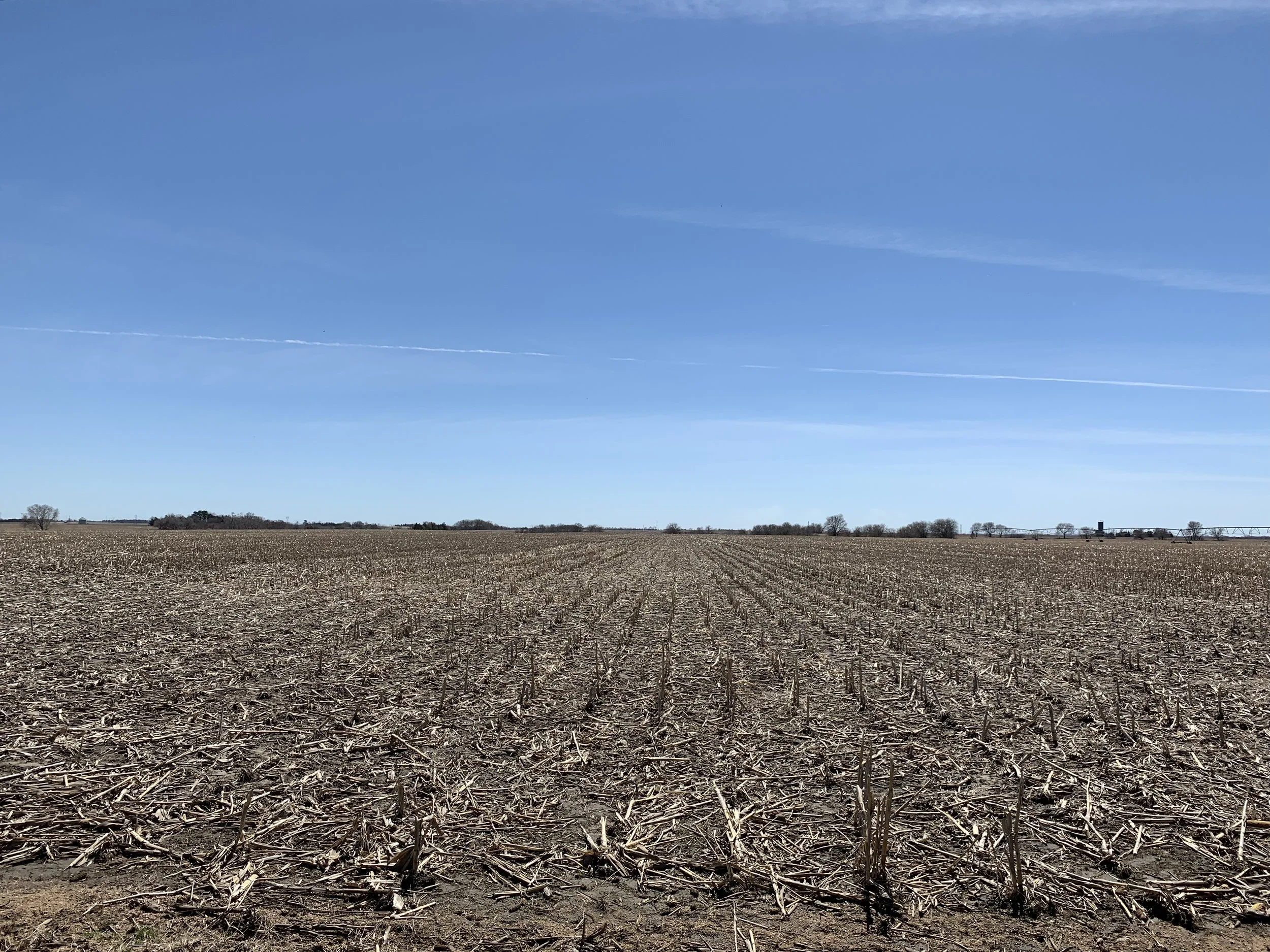 Mariska Trust LAND AUCTION: 79.51 Acre Saline Co. Farm
