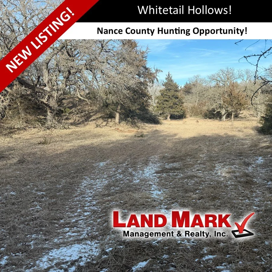 Upland Recreation Land - Palmer