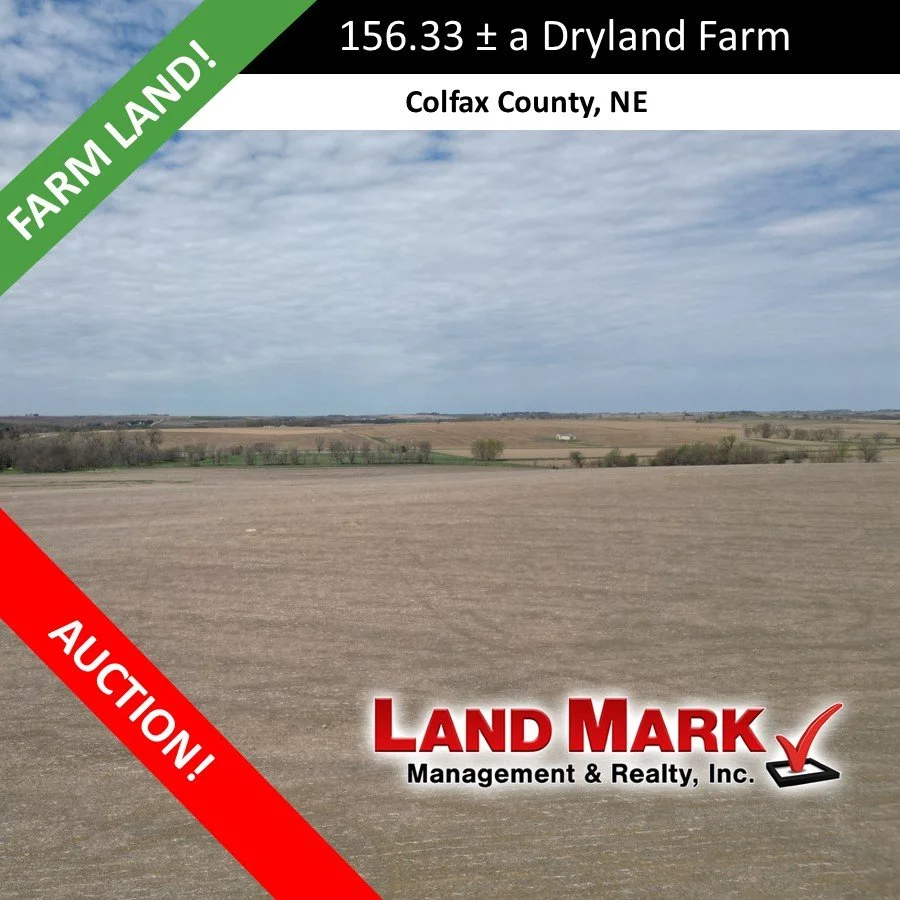 LAND AUCTION  - 156.33 +/- Acres Colfax County Dryland Farm