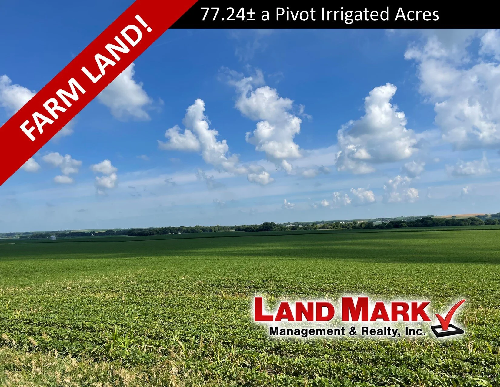 New Listing Banner Marshall Schmid.jpg