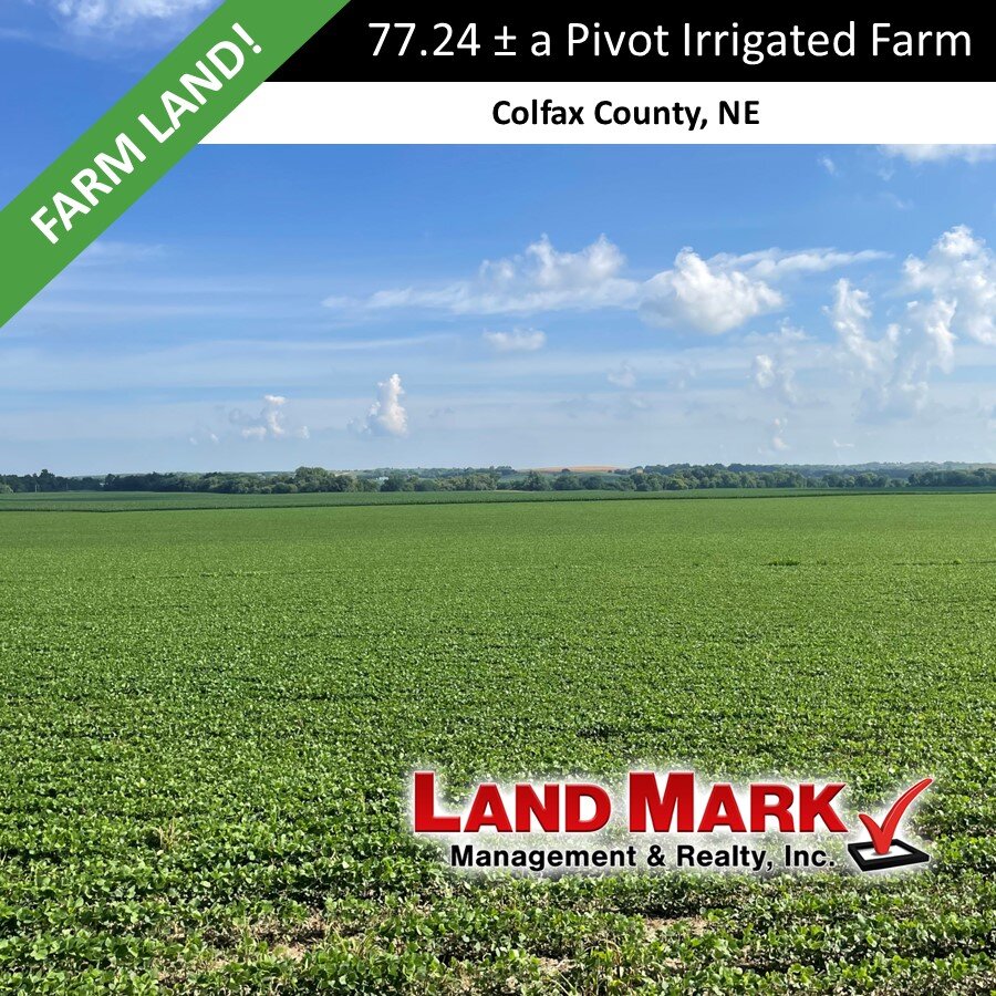 77.24 +/- Colfax County Irrigated Shell Creek Farm