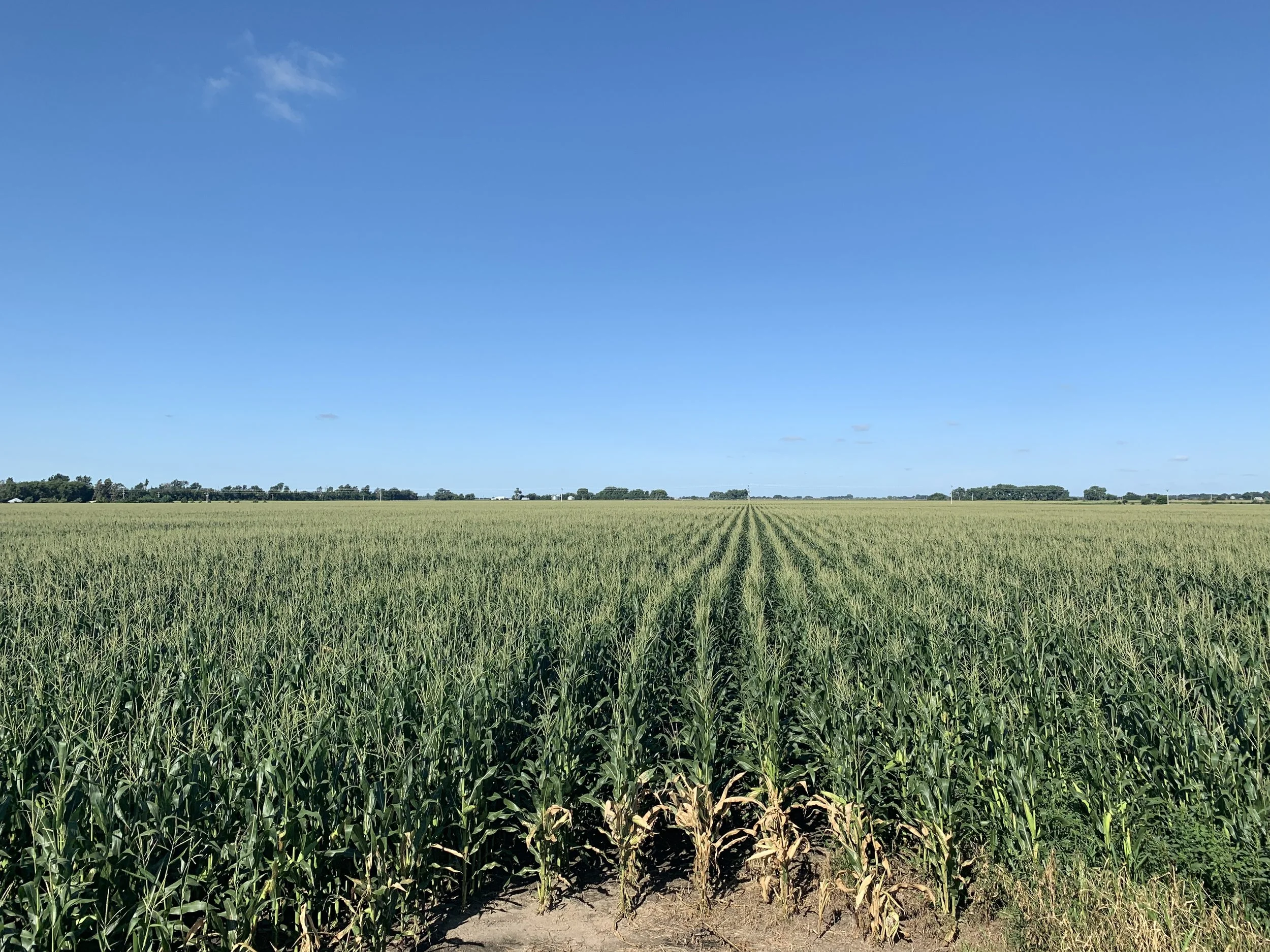 Looking for a farm or ranch? We can help!